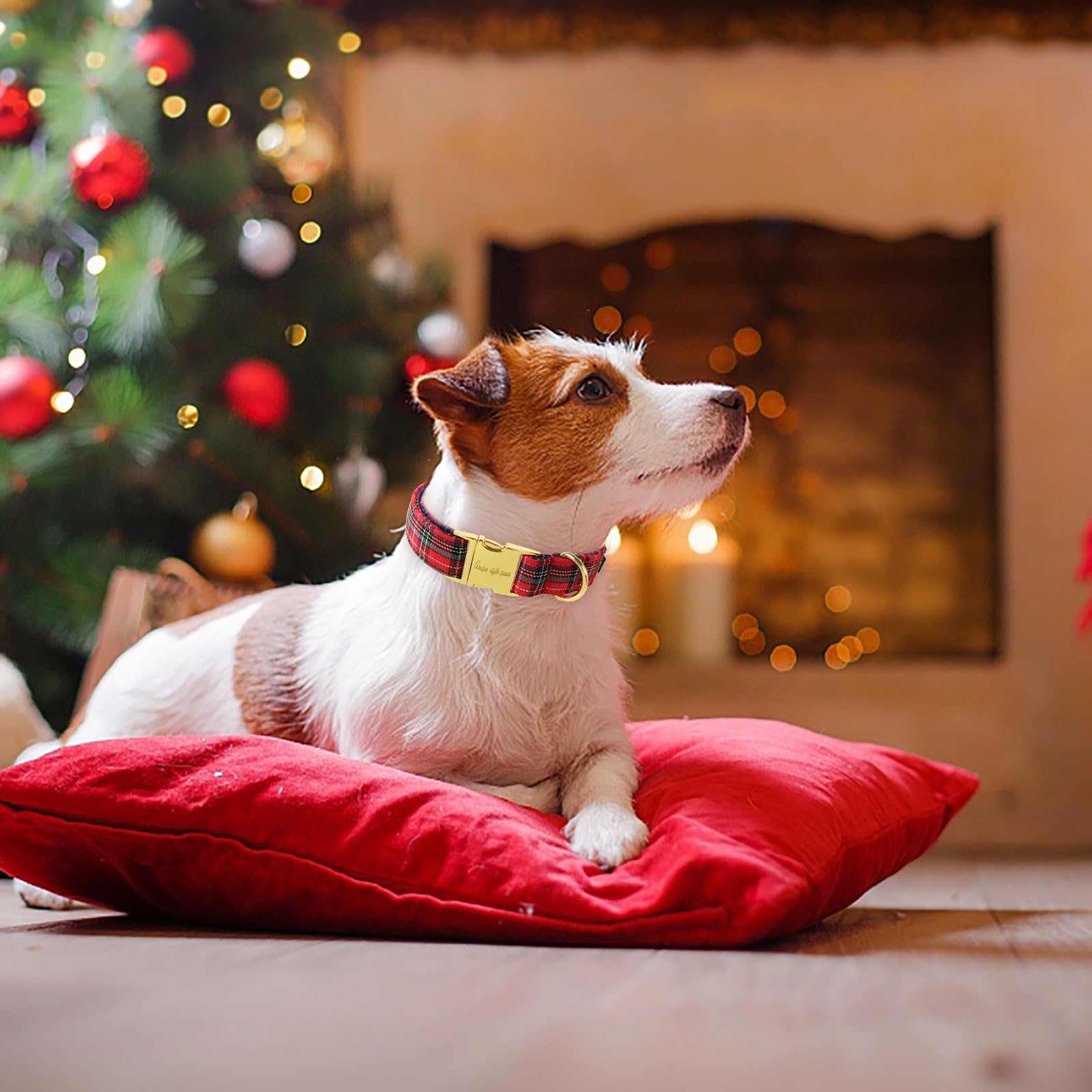 Unique Style Paws Christmas Dog Collar Metal Buckle Scottish Plaid Puppy Collar Gift Durable Cute Collar For Small Medium Large