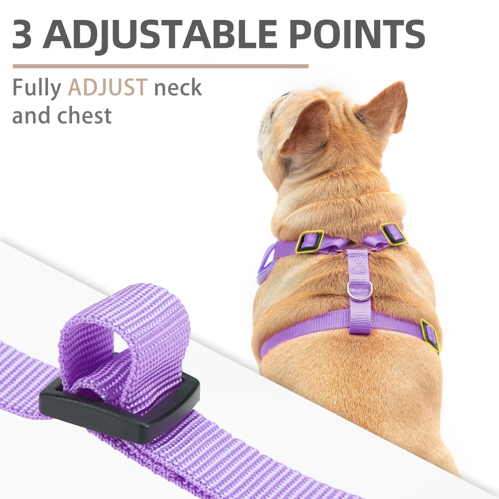 Pupteck Dog Harness And Leash Set For Small Medium Dogs No Pull, Soft Mesh Adjustable Puppy Cat Harness Reflective At Night, Pur