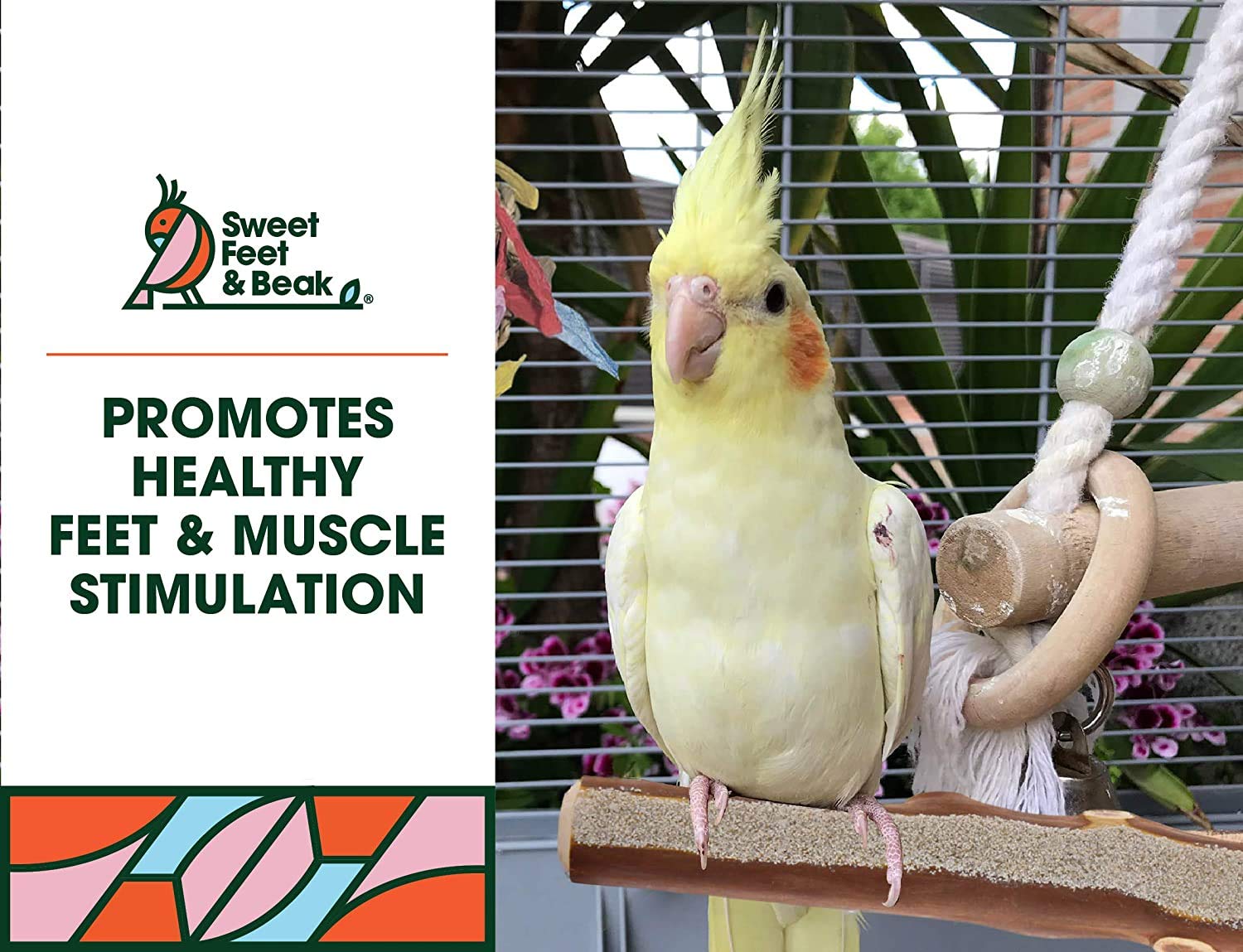 Sweet Feet And Beak Superoost Manzanita Pumice Pedicure Perch- Easy To Install Bird Cage Accessories For Healthy Feet, Nails And Beak - Natural Bird Perches Imitates Birds' Life In The Wild - Xs 8'