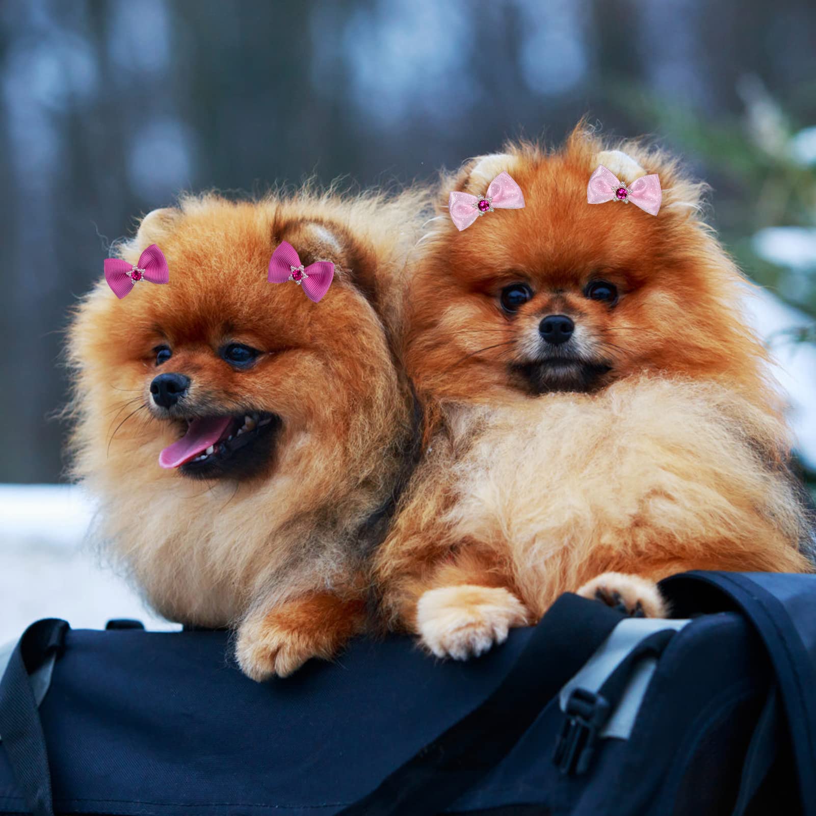 Rimobul 50Pcs Yorkie Pet Hair Bows With Rubber Bands, Cute Small Dog Hair Bows Pet Handmade Hair Bowknot Puppy