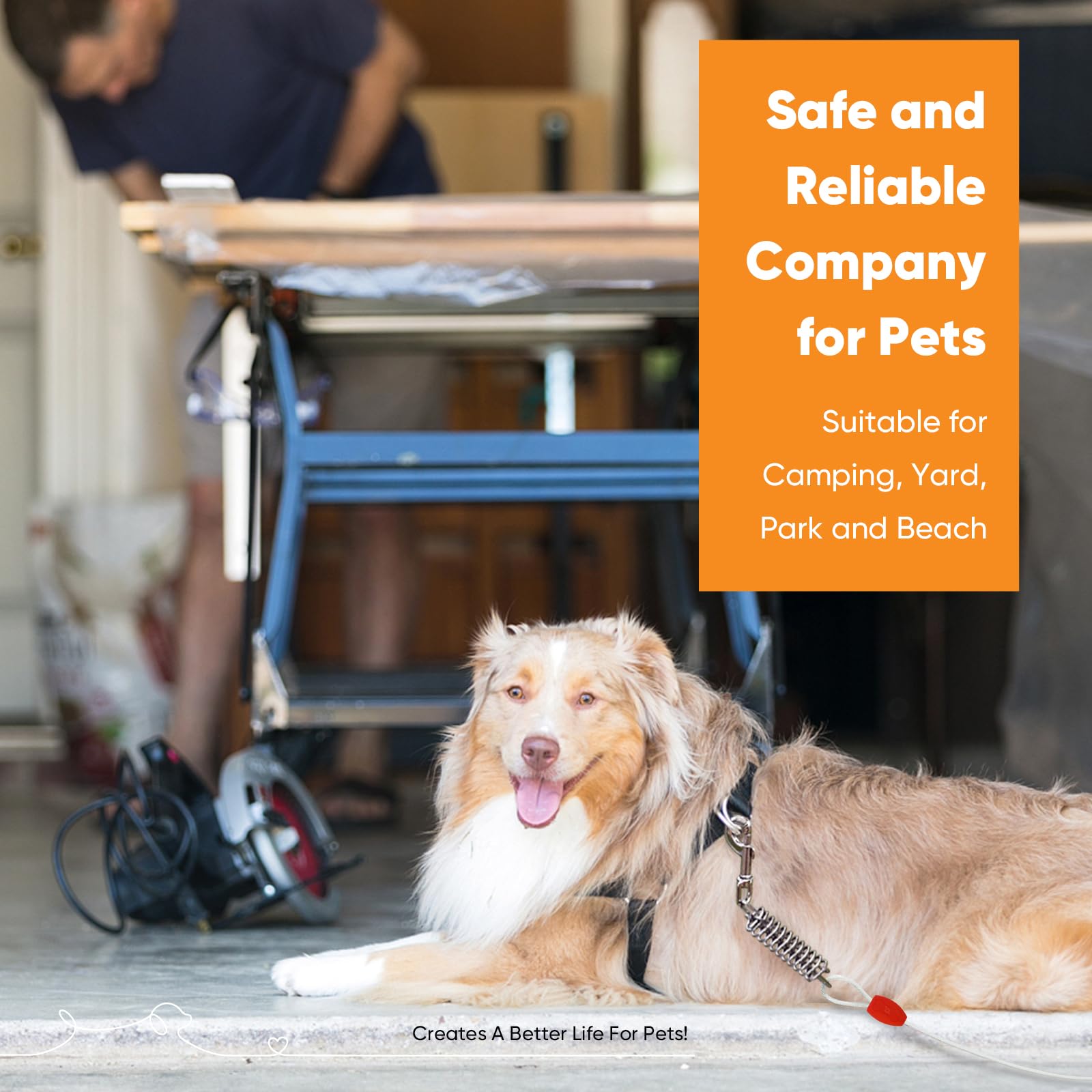 Petbobi Dog Tie-Out Cable 40Ft - Outdoor Leash 4Mm Metal Cable With Shock Absorbing Spring 360 Swivel Clips, Chain For Dogs Yard