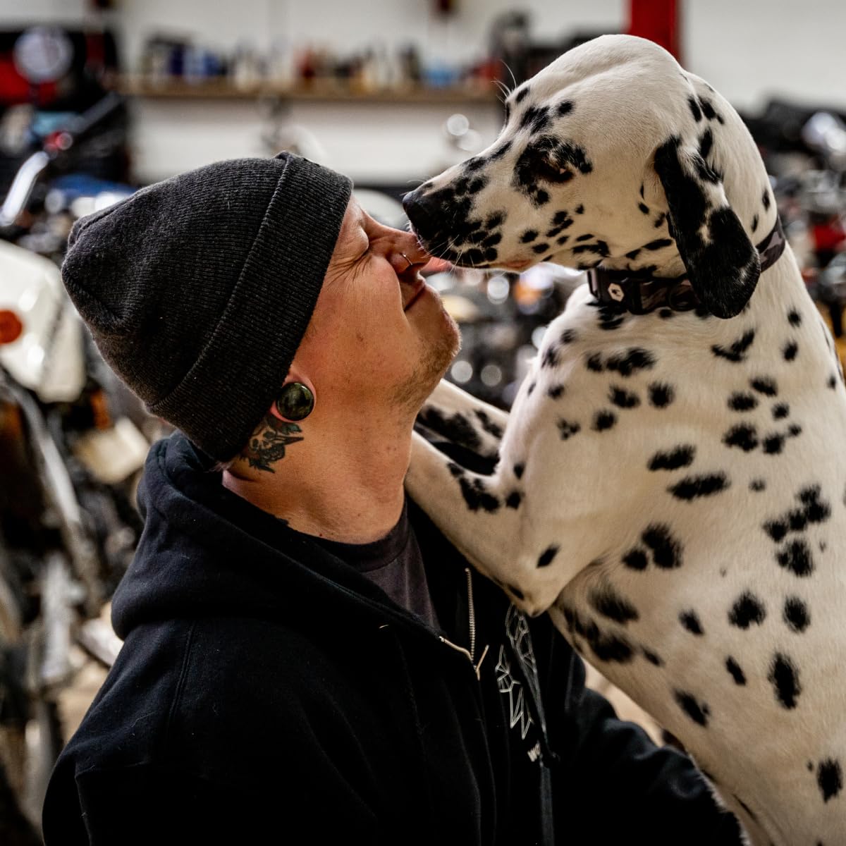 Wolfgang Heavy Duty, Adjustable Dog Collar With Quick Release Nylon Buckle For Walking & Training, Darkskies Print, Large