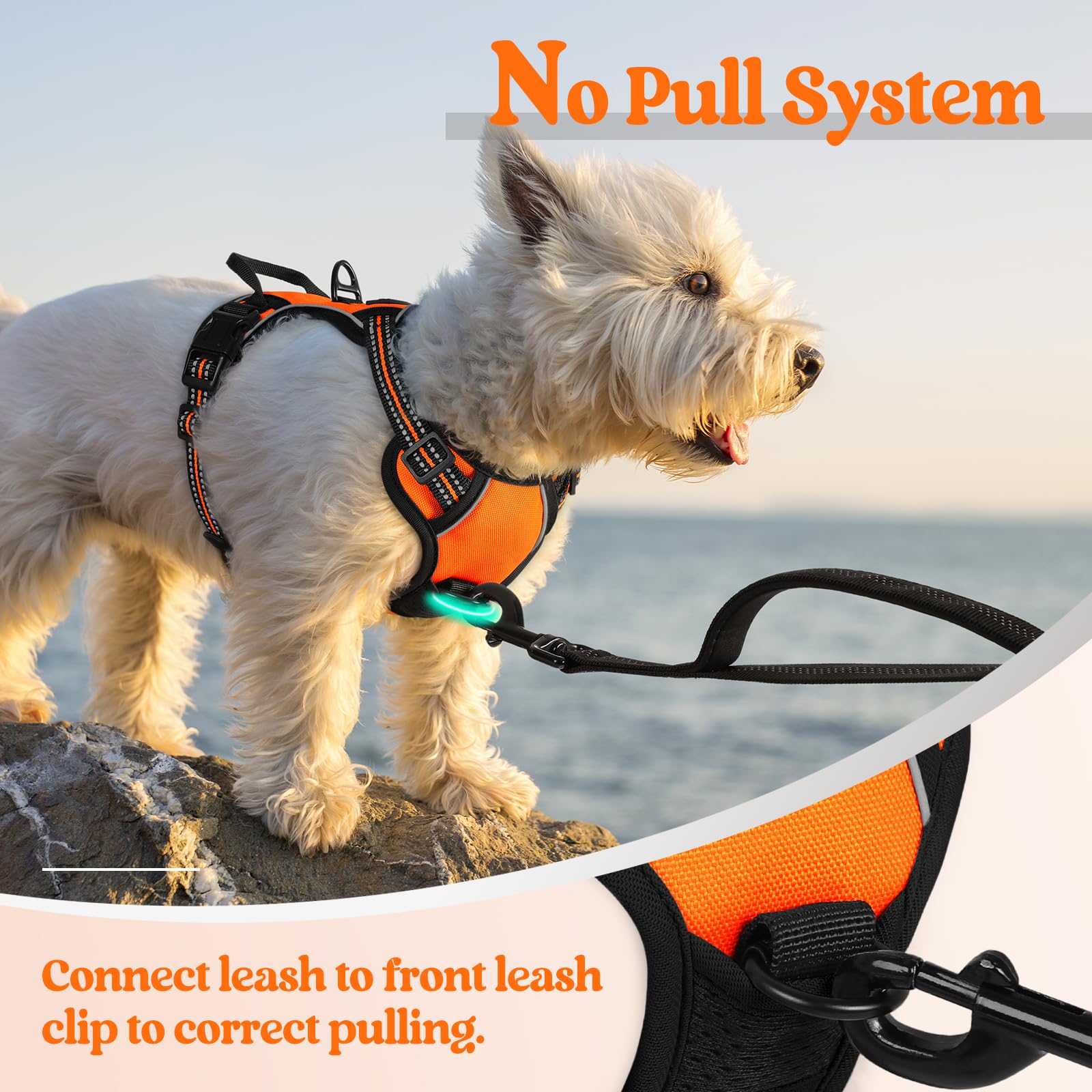 Rabbitgoo Dog Harness No Pull With 2 Leash Clips, Adjustable Soft Padded, Reflective Oxford No Choke Pet Vest With Easy Control Handle For Puppy, Orange,Xs