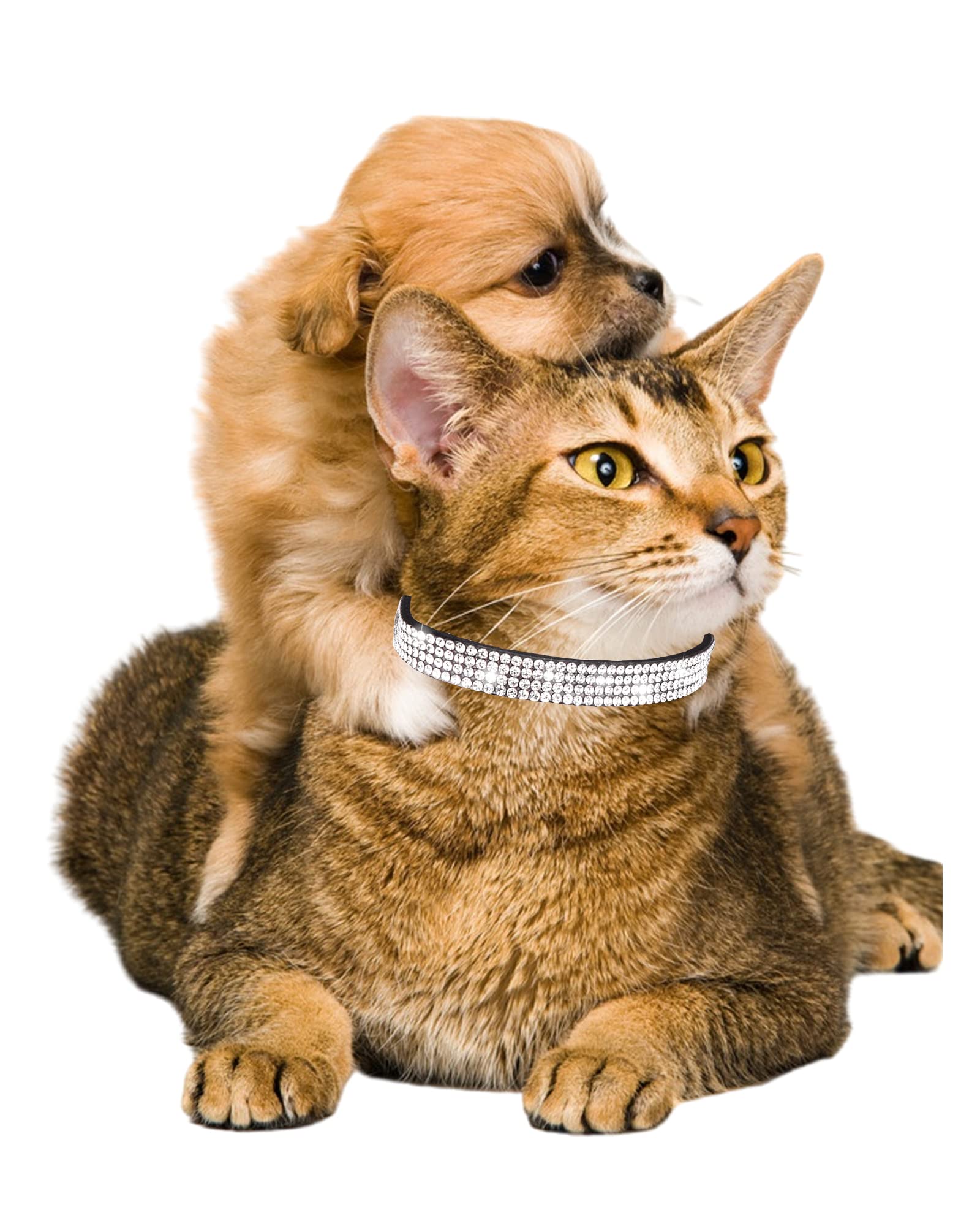 Aecllcea Cat Collars For Girl Cats With Rhinestone Soft Velvet,Breakaway Cat Collars With Bell,Adjustable Safe Kitten Collar (Bl