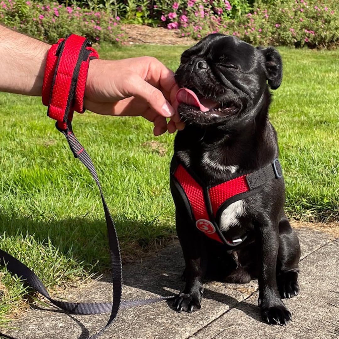 Gooby Soft Mesh Wrist Band Surfer Leash - Flamingo Pink, 6 Ft - Comfortable Hands Free Leash With Elastic Band For Small, Medium And Large Dogs