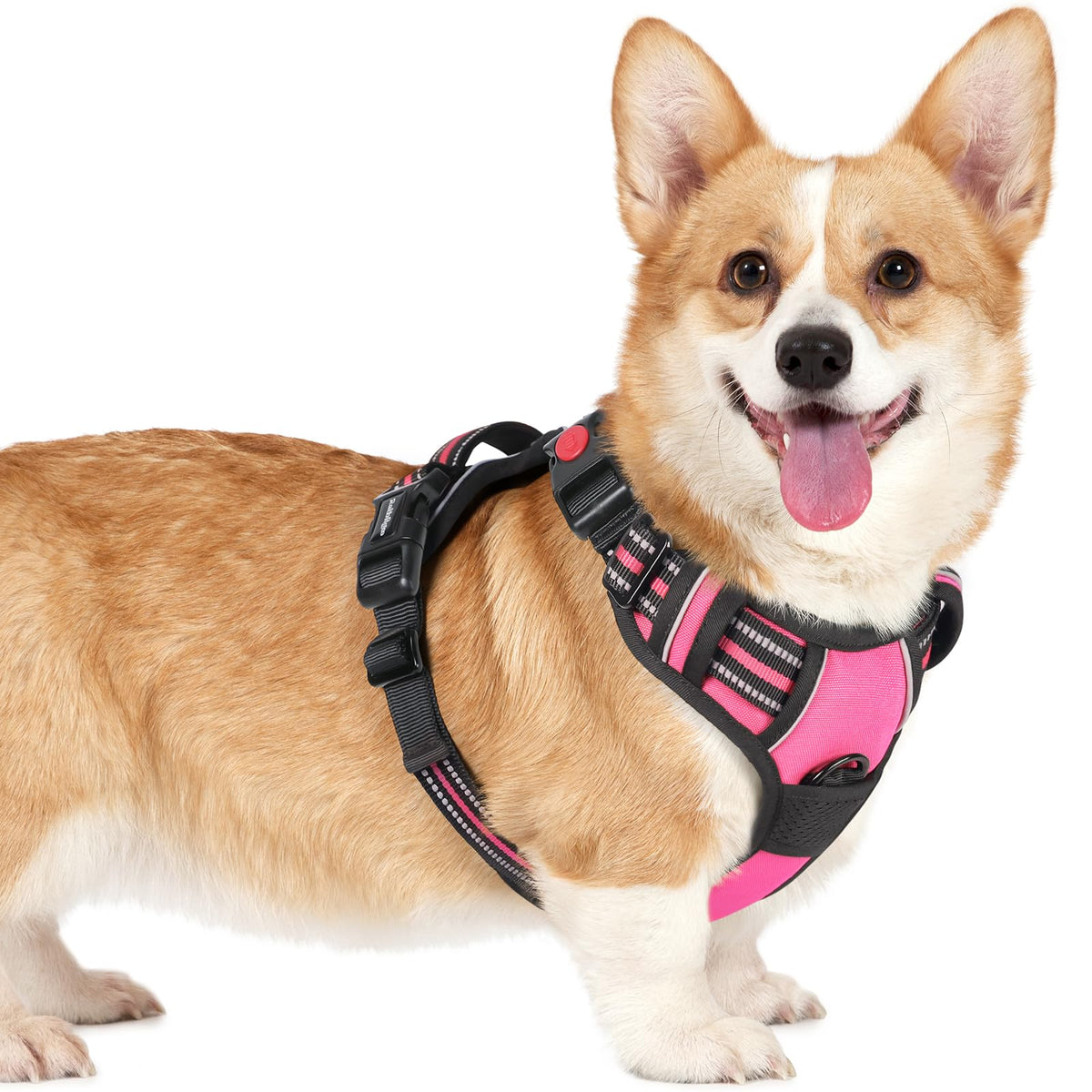 Rabbitgoo Dog Harness Small Sized, No Pull Pet Harness With 3 Buckles, Adjustable Soft Padded Pooch Vest With Instant Control Handle, Easy Walking Reflective Pet Vest For Small Dogs, Rose Pink, S