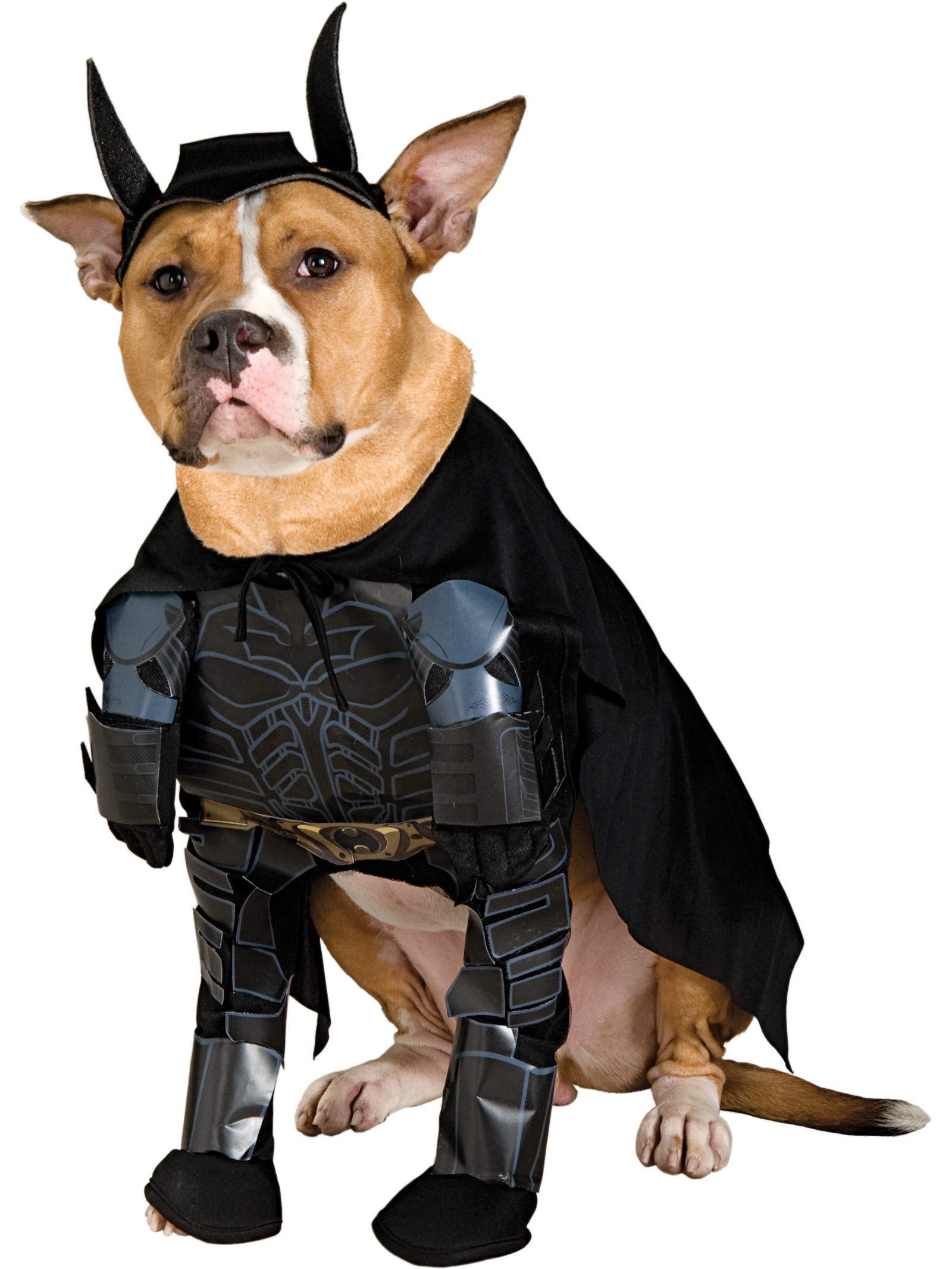 Rubies DC Comics Batman The Dark Knight Rises Pet Costume, Small