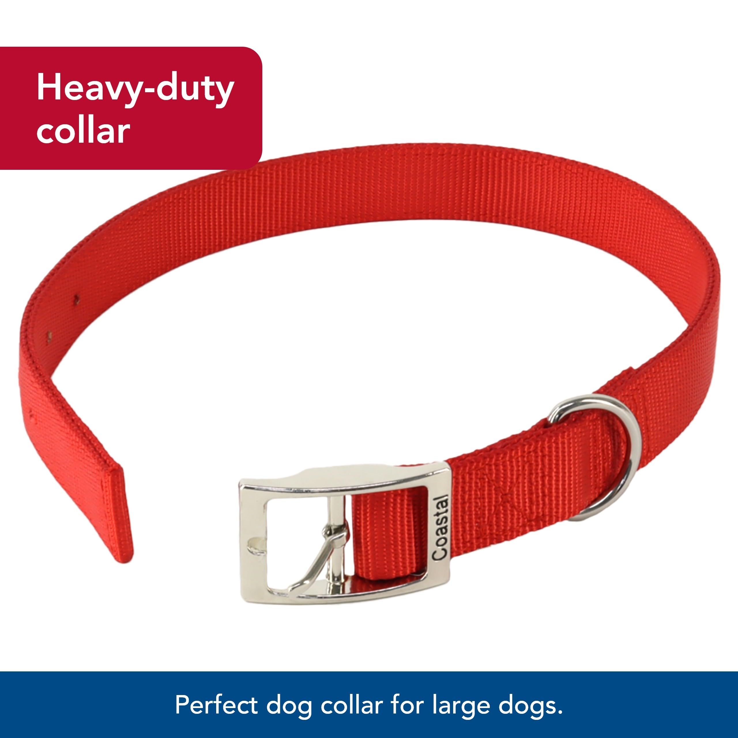 Coastal Pet - Double-Ply Dog Collar, Blue, 1'' x 26''