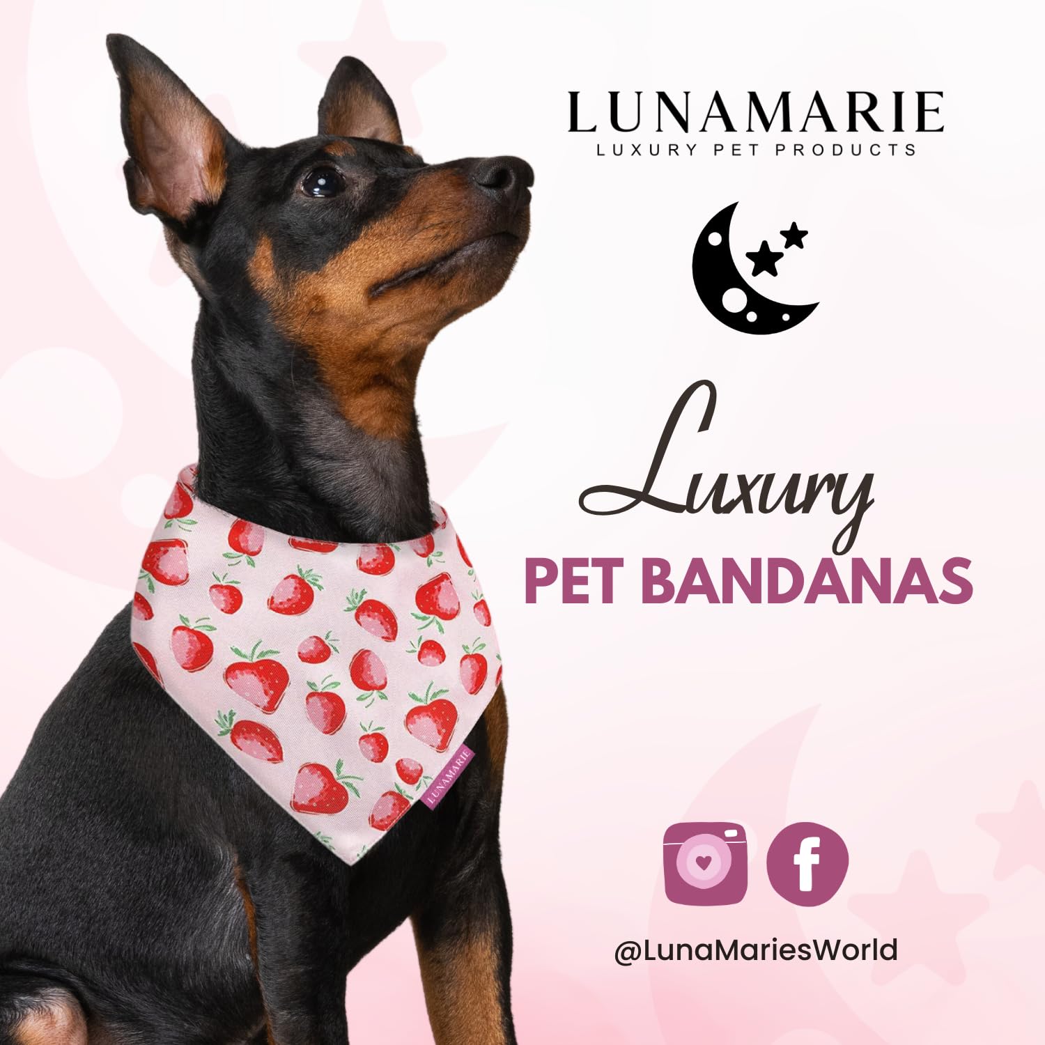 LunaMarie - Luxury Pet Birthday Bandanas -Premium & Silky Poly Fabric | 100% Handmade | Custom Shape Dual Layered (Strawberry, X