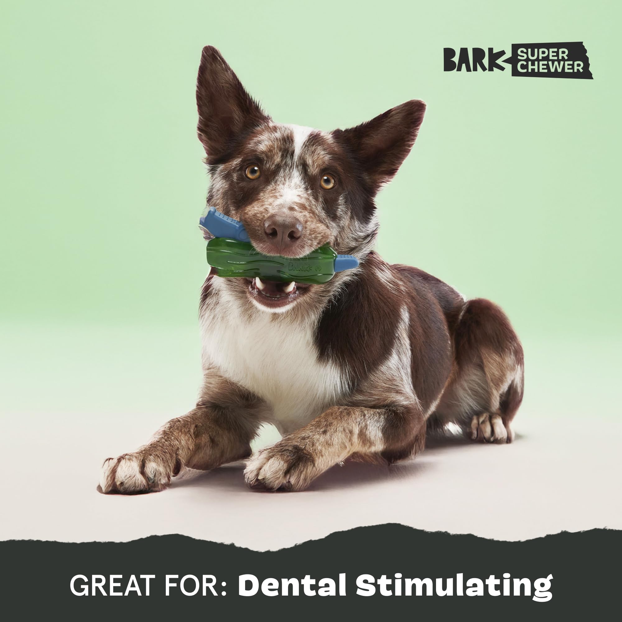 Barkbox Crocness Monster Dog Toy For Medium Dogs - Beef-Scented, Perfect For Tough Chewers To Grab, Grip, And Chew For Endless F