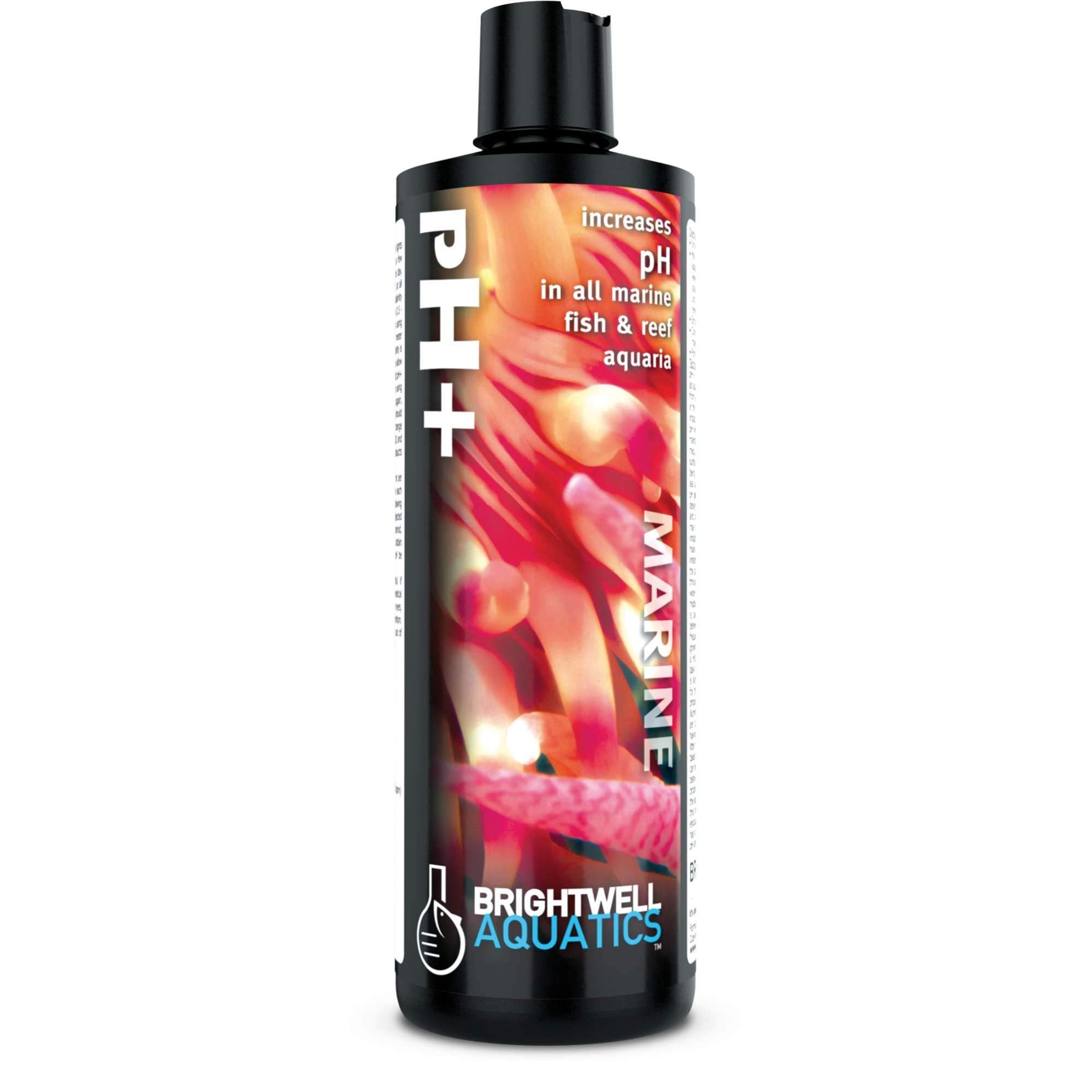 Brightwell Aquatics pH+, pH Increaser for All Marine and Freshwater Aquariums - 125 ml