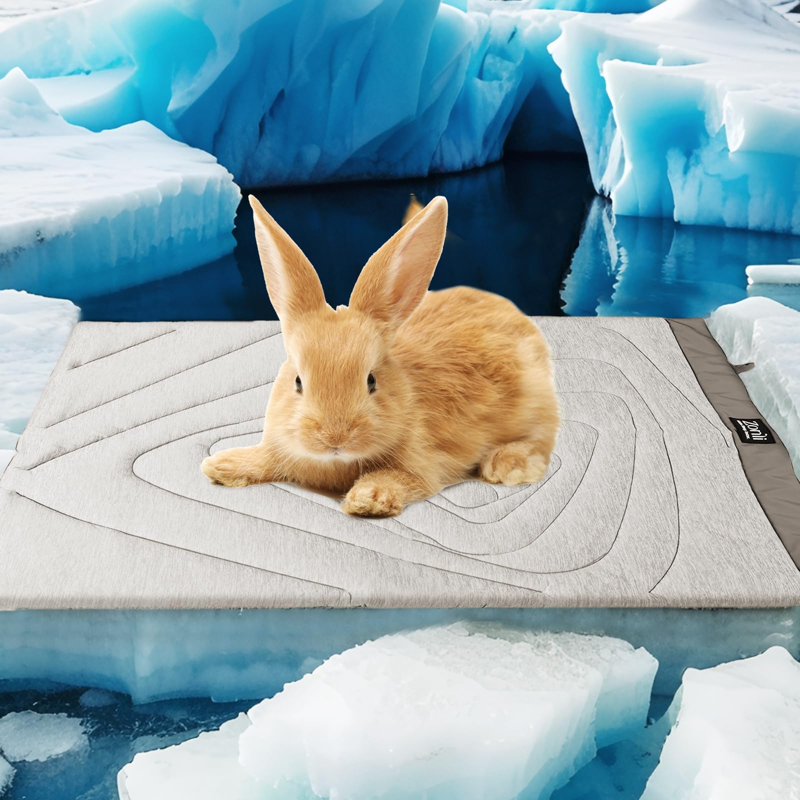 Zonli Dog Cooling Mat, 20'' X 16''Small, Waterproof Cooling Pad For Cats & Rabbits, Portable & Durable Pet Mat For Crate, Trunk,