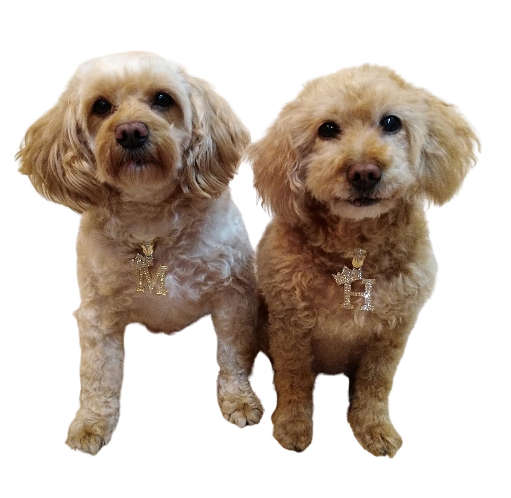 Ba Unique Fashion Initial Letter Cuban Chain Dog Chain Pet Chain Pet, Cat, Puppy Necklace (A, 30)