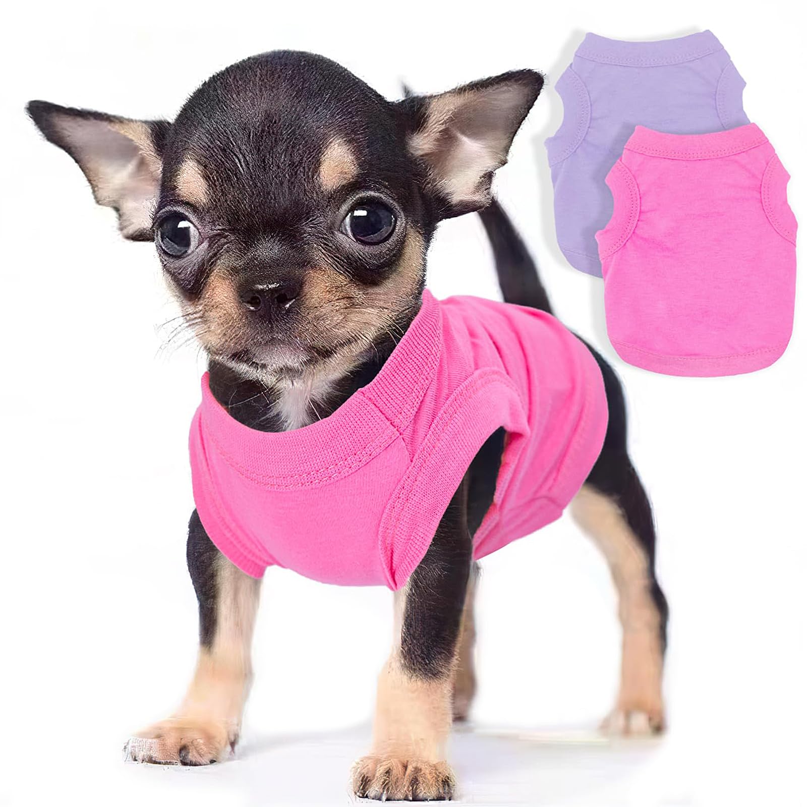 2 Pieces Dog Clothes For Small Dogs Girl Boy Spring Summer Soft Puppy Shirt Solid Color Chihuahua Clothes Pet Clothing Cute Cat 