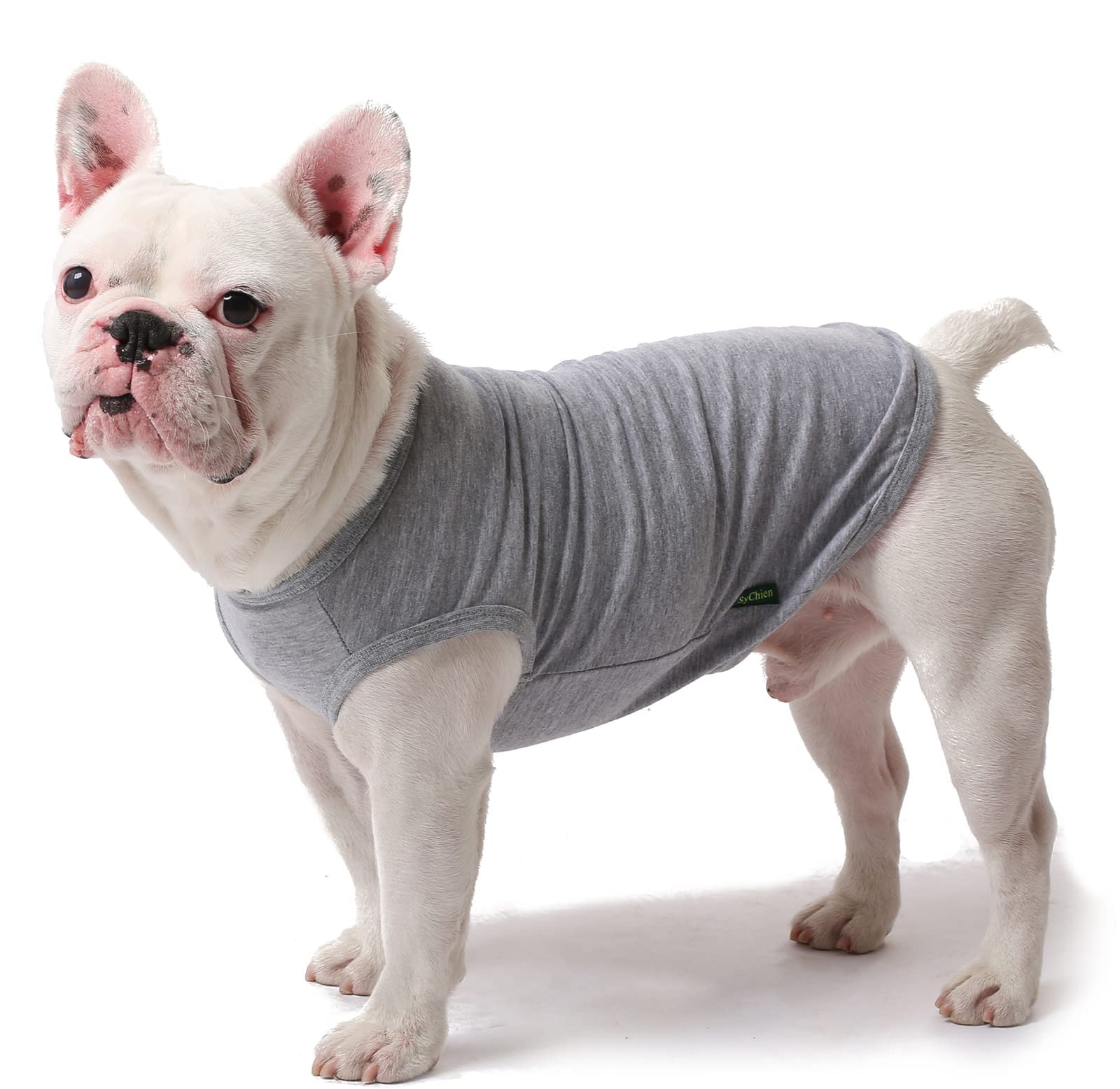 Sychien Dog Blank Cotton Shirts,Plain Dogs Large Clothes,Boy Girl Pet Costumes,Yellow & Purple Xl