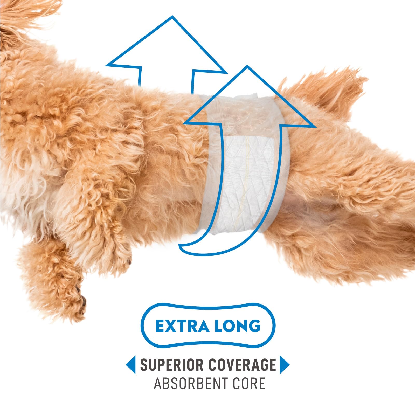 Paw Inspired Select Fit Male Dog Diapers, Disposable Male Wraps With Wetness Indicator| Belly Bands For Small, Medium, Large Dog