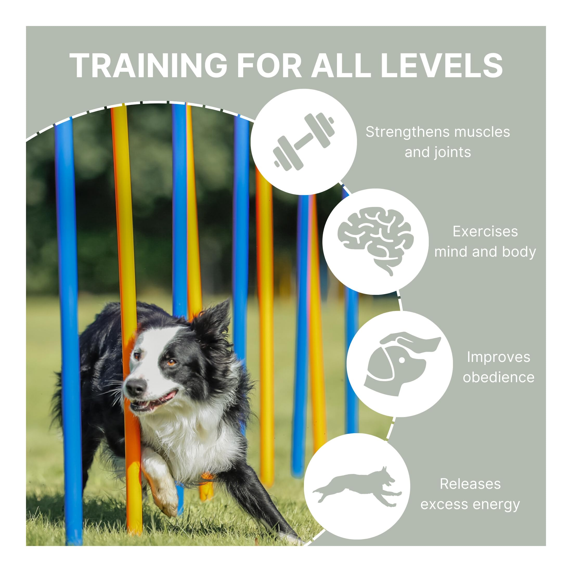 Trixie Dog Agility Course With 12 Slalom Weaves – Dog Weave Poles Ideal For Agility Training For Beginners & Advanced, Dog Agility Equipment For Dog Obstacle Courses