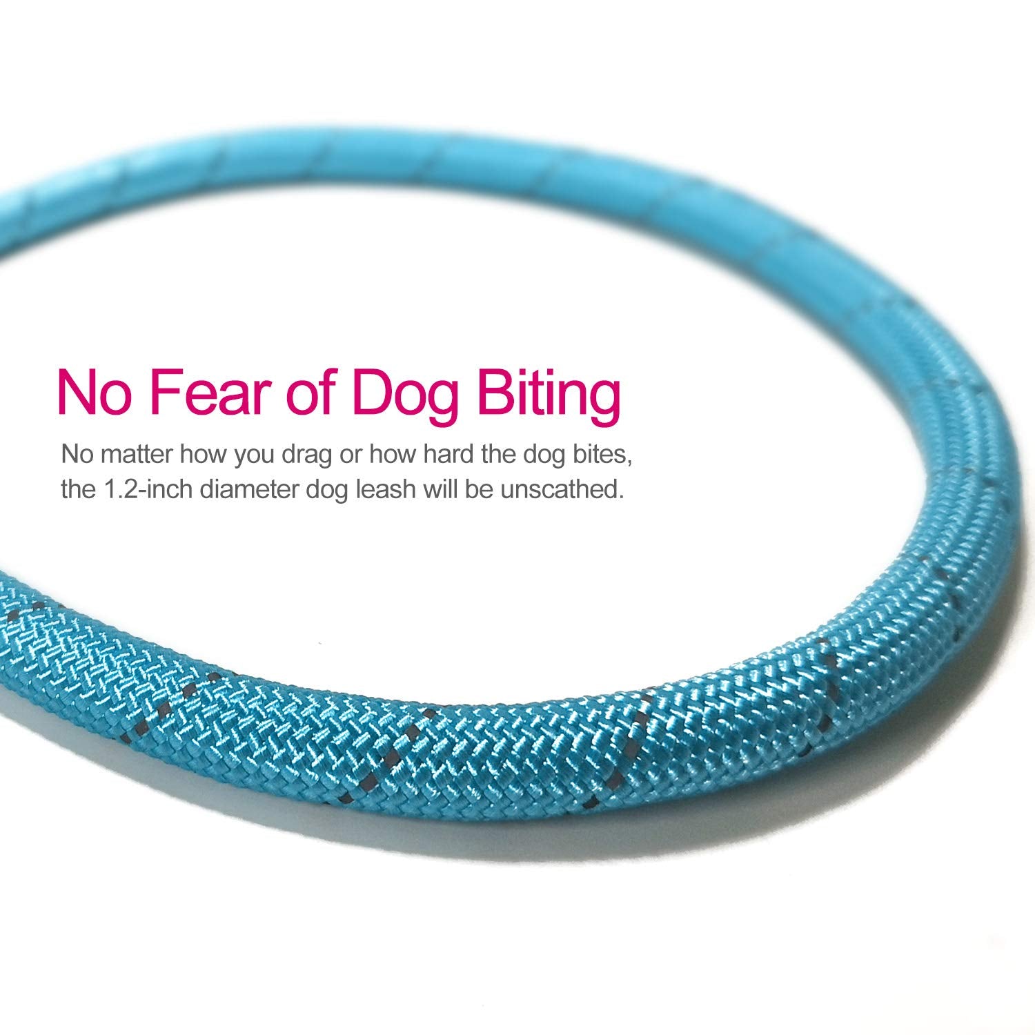 Vldco 10 Ft Strong Dog Leash Extra Heavy Duty Rock Climbing Rope Comfortable Padded Handle Highly Reflective Threads For Small Medium Large Dogs, 1/2 Inch Diameter (Blue)
