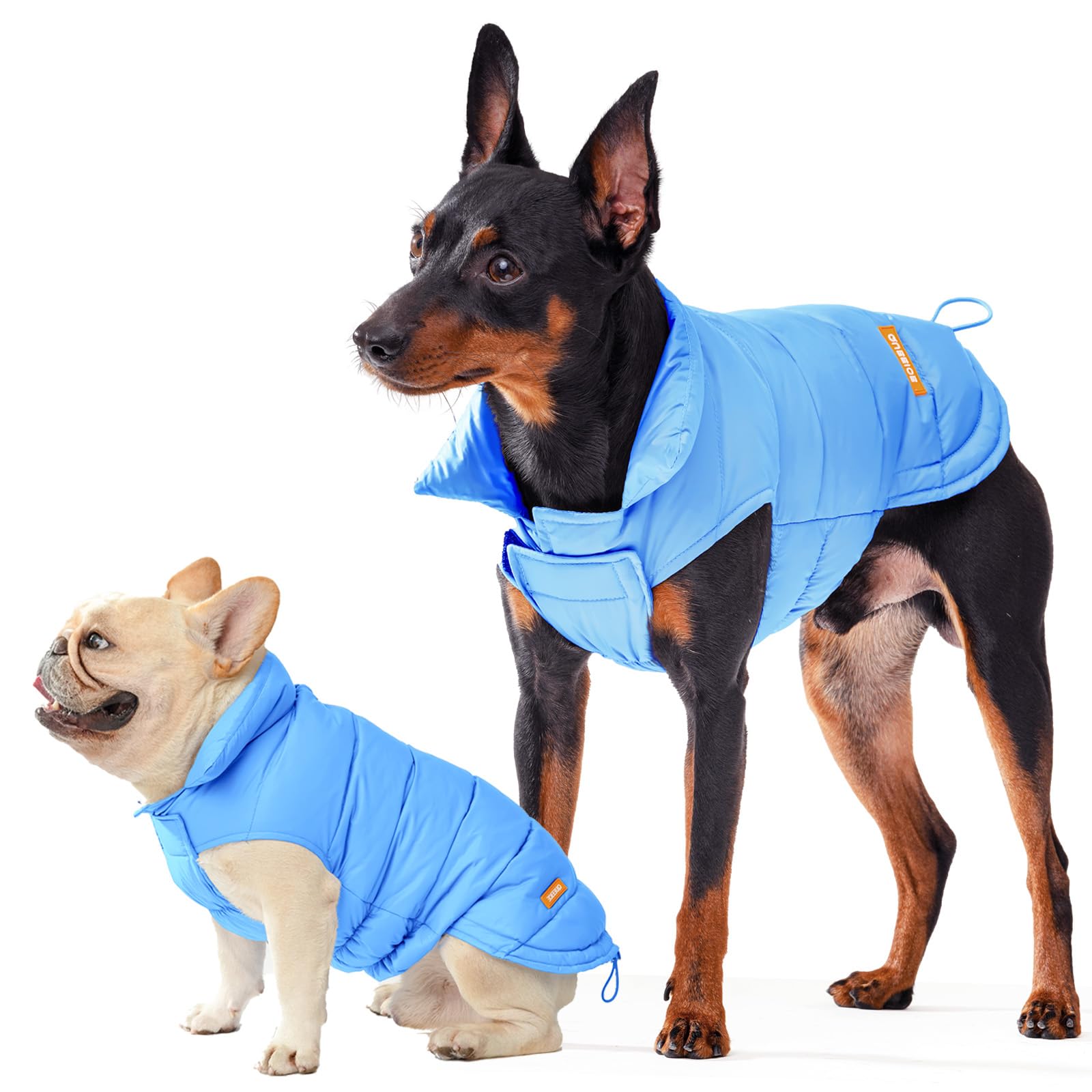 Space Lion Dog Puffer Jacket, Down Dog Winter Coat, Waterproof, Windproof, Lightweight, Adjustable Fit, Small, Medium, Large Dog