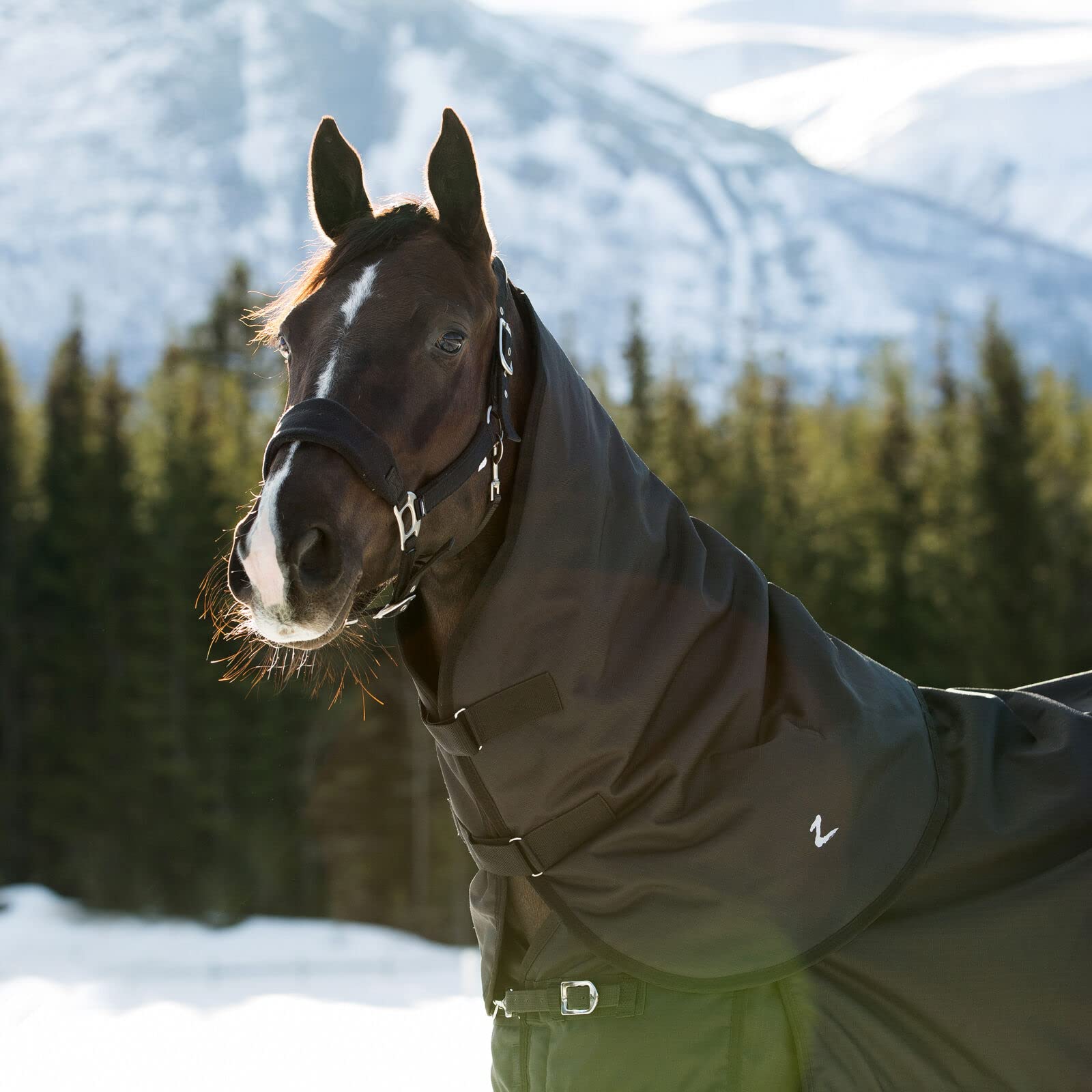 HORZE Nevada Medium Weight 1200D Waterproof Horse Turnout Neck Cover Hood (200g Fill) - Black - L