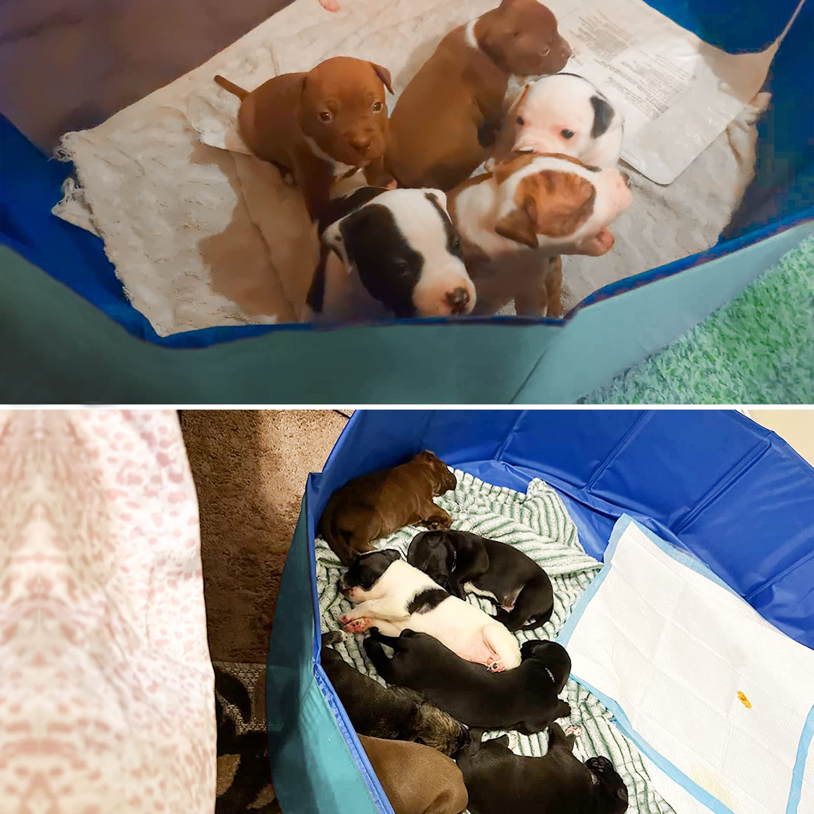 Artilife Whelping Box for Dogs Welp Box Whelping Pool,Puppy Whelping Pen for Dogs Puppies,Great for Puppies,Easy to Clean (47inc