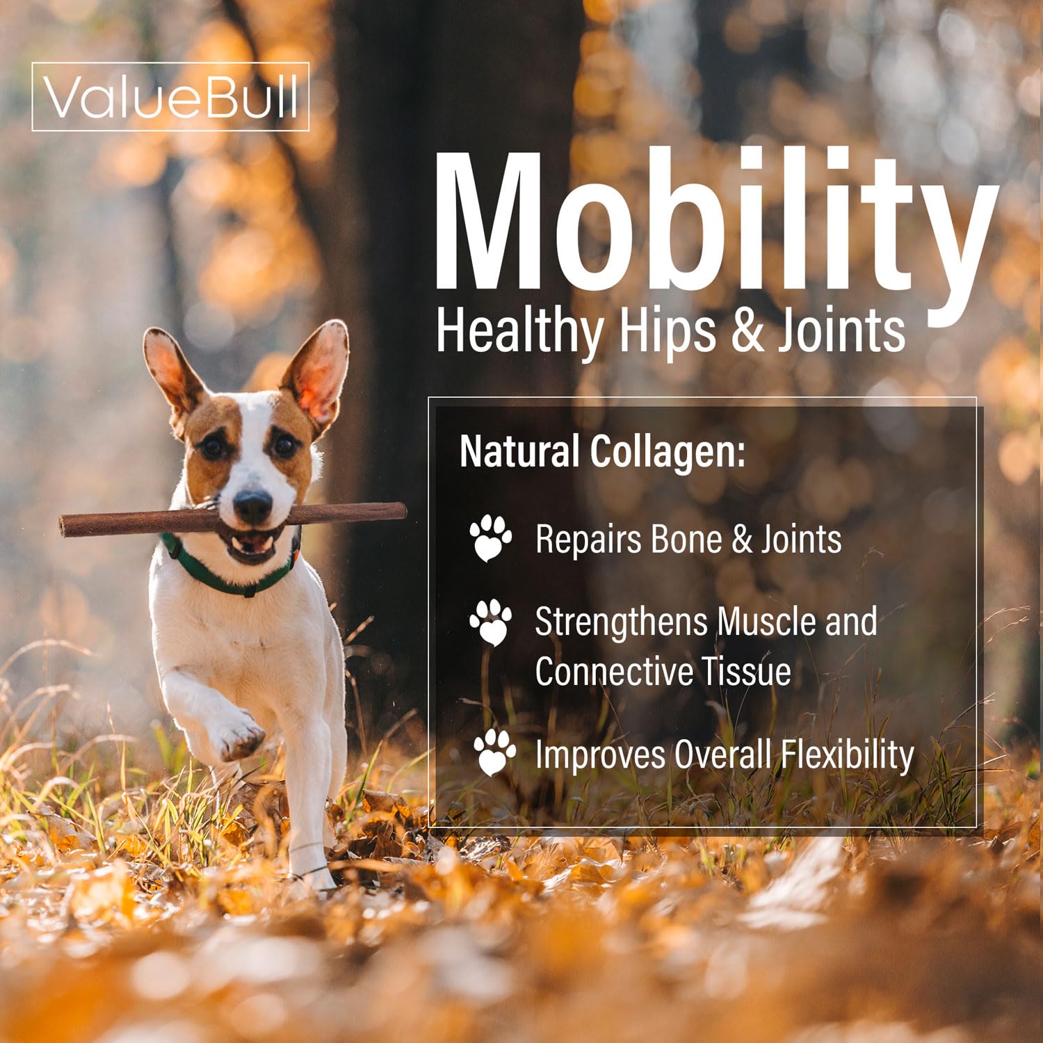 ValueBull Collagen Sticks for Dogs, 12 Inch Thick Chews, Natural Long-Lasting Dog Treats, 25 Count - Supports Joints, Skin & Coa