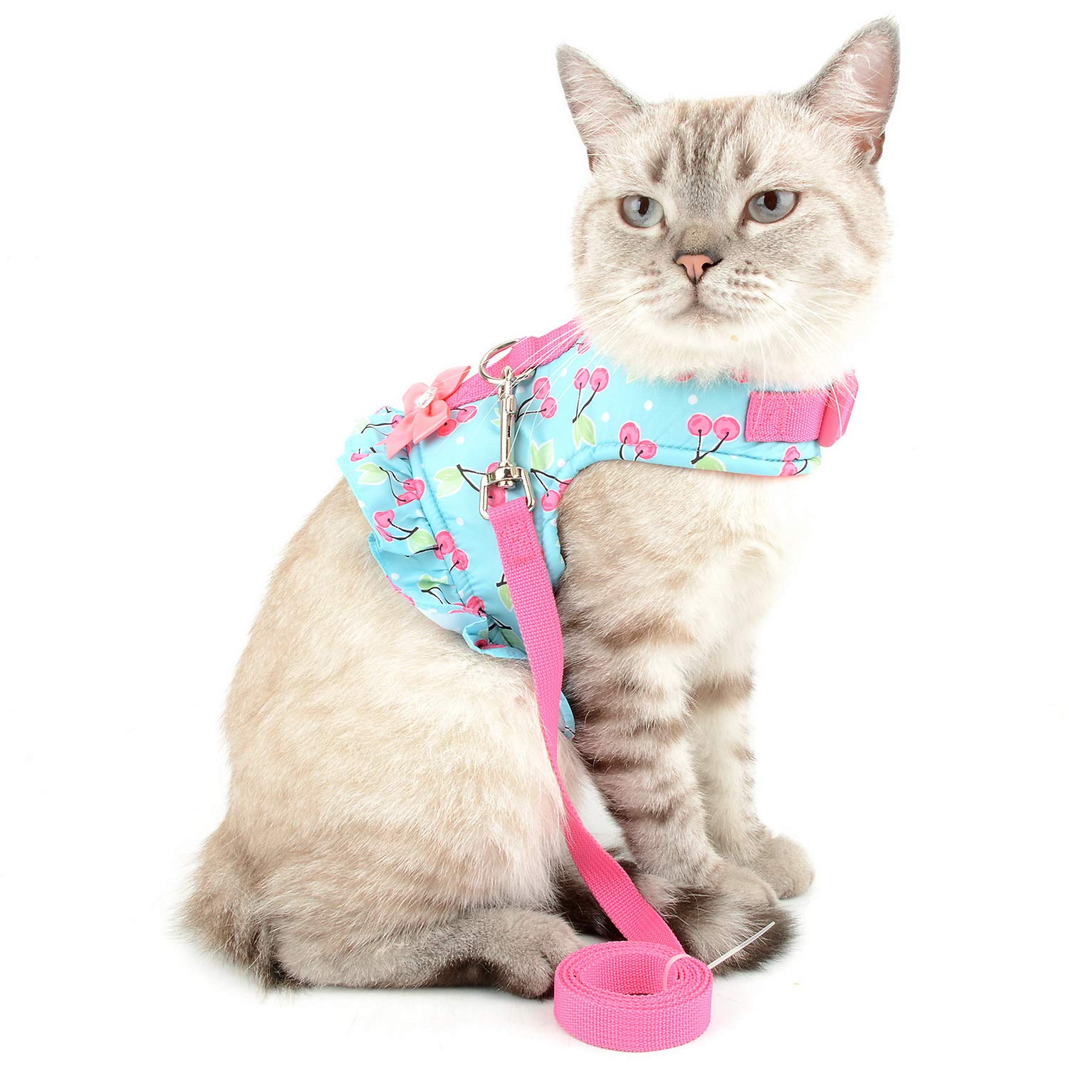 Zunea No Pull Small Dog Girl Harness Dress Escape Proof Cat Kitten Vest Harness Leash Set Step-in Soft Cotton Padded Cherry Prin
