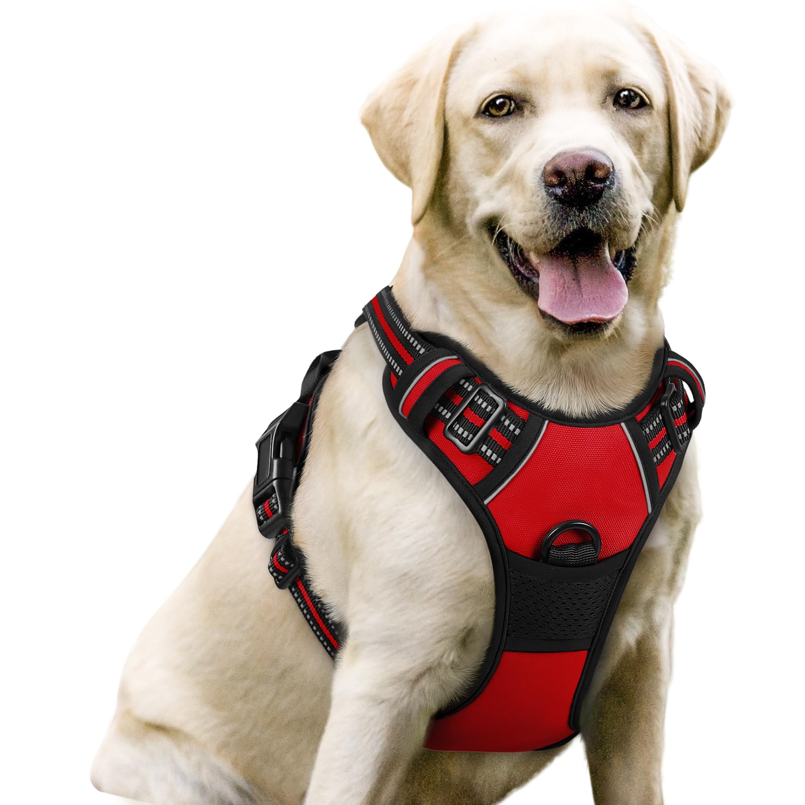 Rabbitgoo Dog Harness, No-Pull Pet Harness With 2 Leash Clips, Adjustable Soft Padded Dog Vest, Reflective No-Choke Pet Oxford V