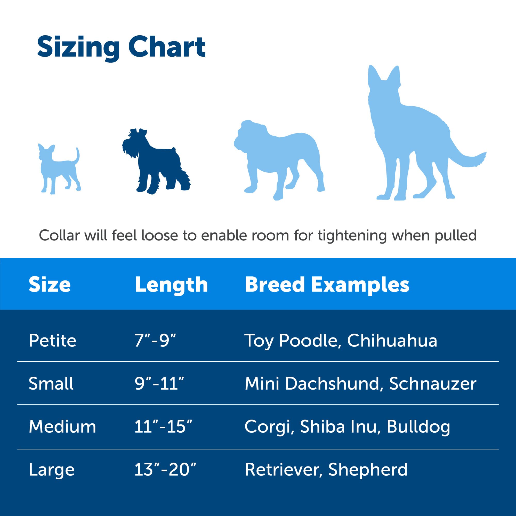 Petsafe Martingale Dog Collar With Quick-Snap Buckle - Small, 3/4 Inch, Royal Blue