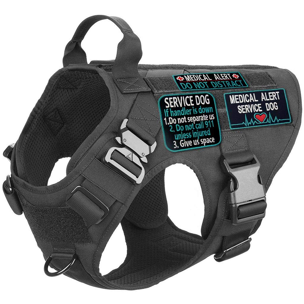 Service Dog Medical Not All Disabilities Are Visible Alert Vest/Harnesses Morale Tactical Patch Embroidered Badge Fastener Hook & Loop Emblem, 6 Pcs, Blue