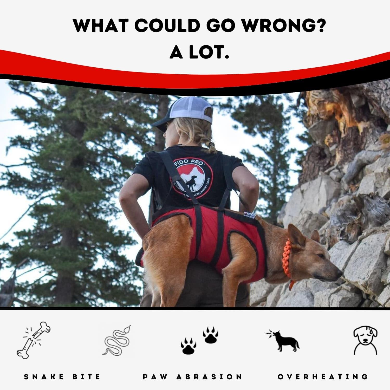 Fido Pro Airlift Emergency Dog Rescue Sling - Lightweight, Packable Dog Sling For Extra Large Dogs With 8-Point Support System F