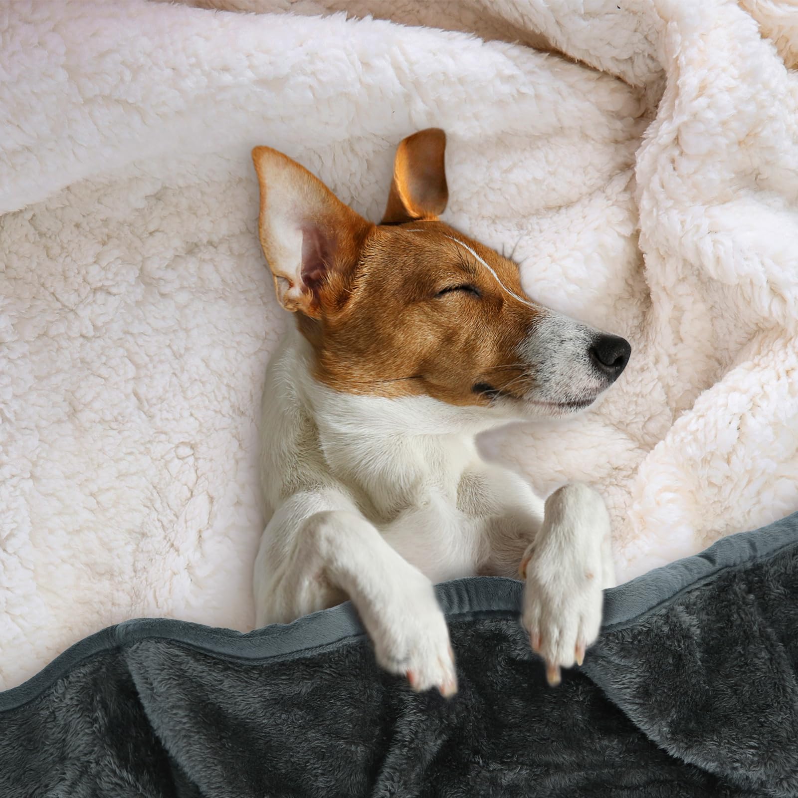 Nobleza Waterproof Dog Blanket, 50''    60'' Reversible Super Soft Warm Fluffy Sherpa Fleece Dog Couch Bed Protector, Urine Proo
