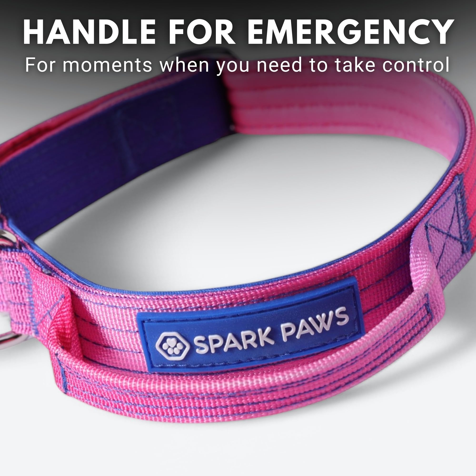 Spark Paws Tactical Dog Collar - Heavy Duty, Premium Quality, Thick And Durable For Large And Medium Dogs - Snow Cone - Xs - 1'