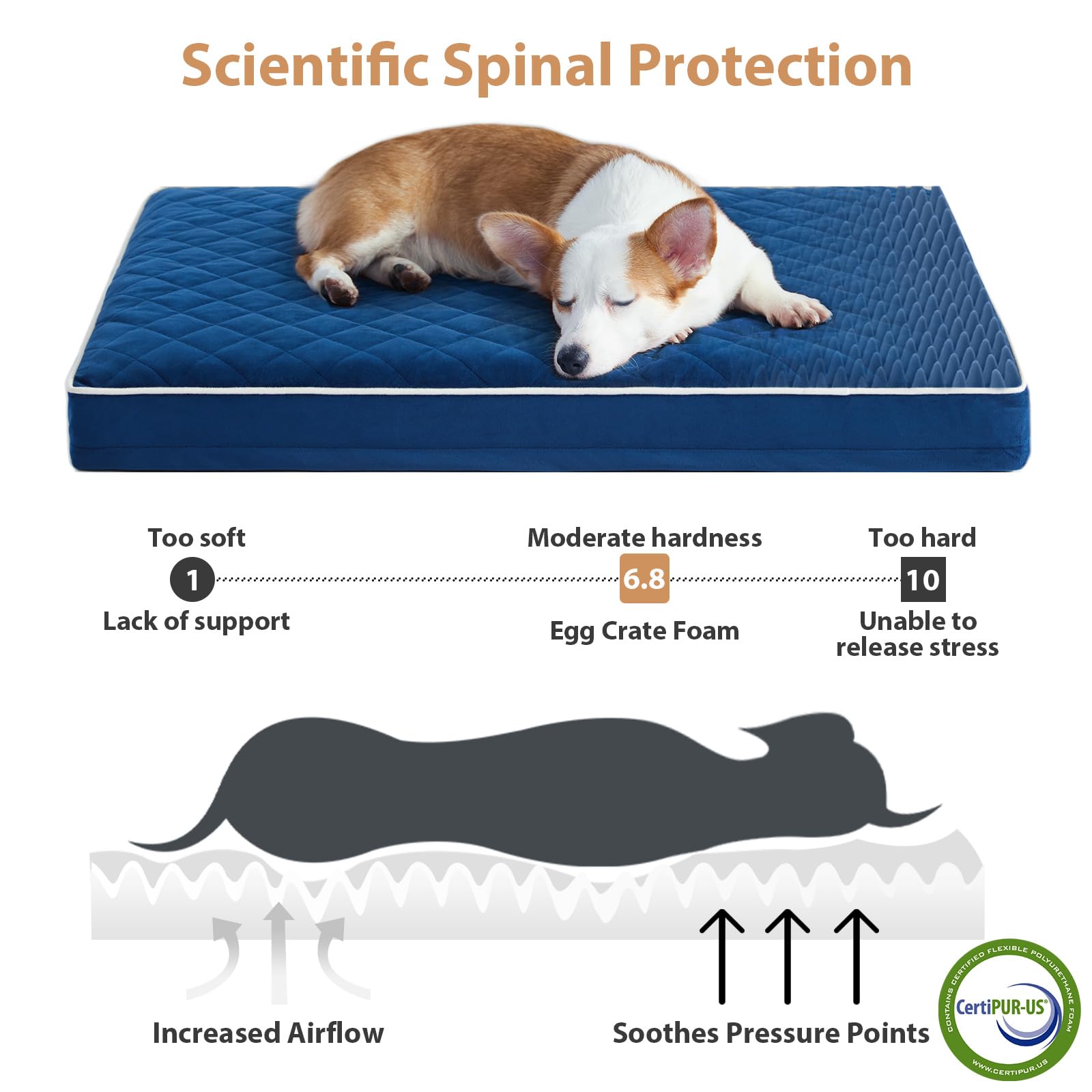 Wnpethome Orthopedic Dog Beds For Medium Dogs, Largedog Bed With Removable Washable Cover & Anti-Slip Bottom, Multi-Needle Quilt