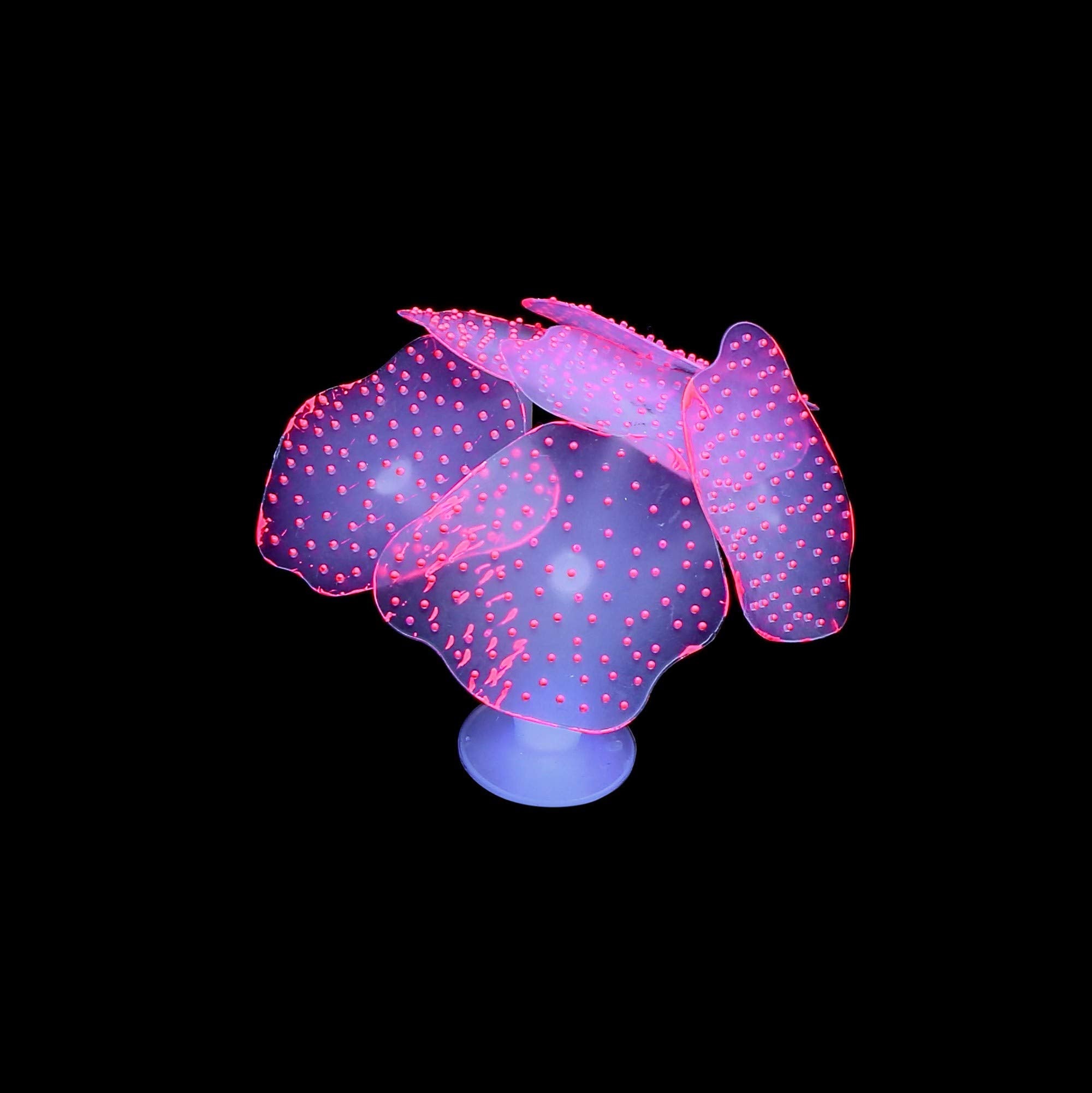 Lpraer Glow Aquarium Decorations - 4 Pack Silicone Coral Reef & Anemone, IIUS00153, Glowing Effect for Fish Tank