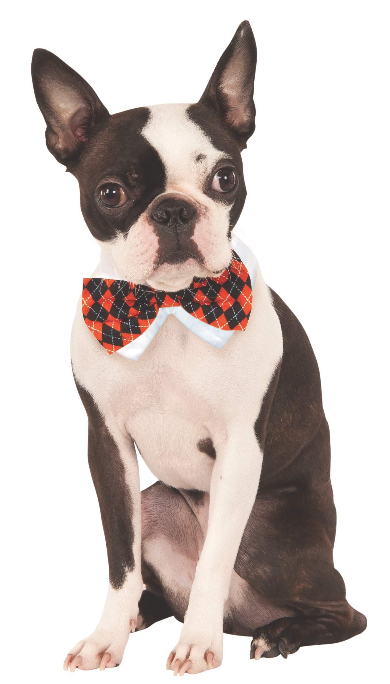 Rubies Costume Company 580406_L-XL Halloween Argyle Pet Bowtie, Large/X-Large