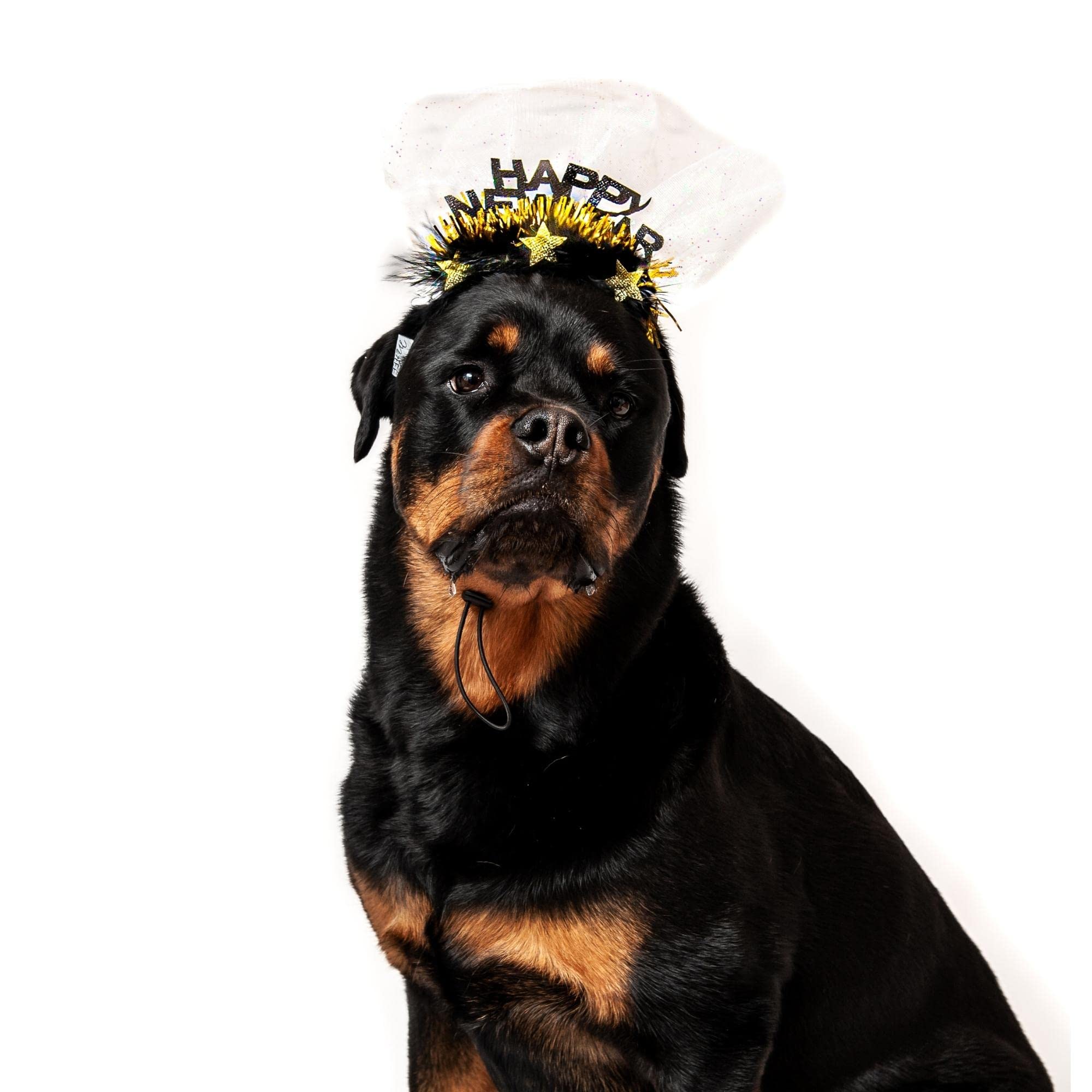 Midlee Happy New Year Dog Headband