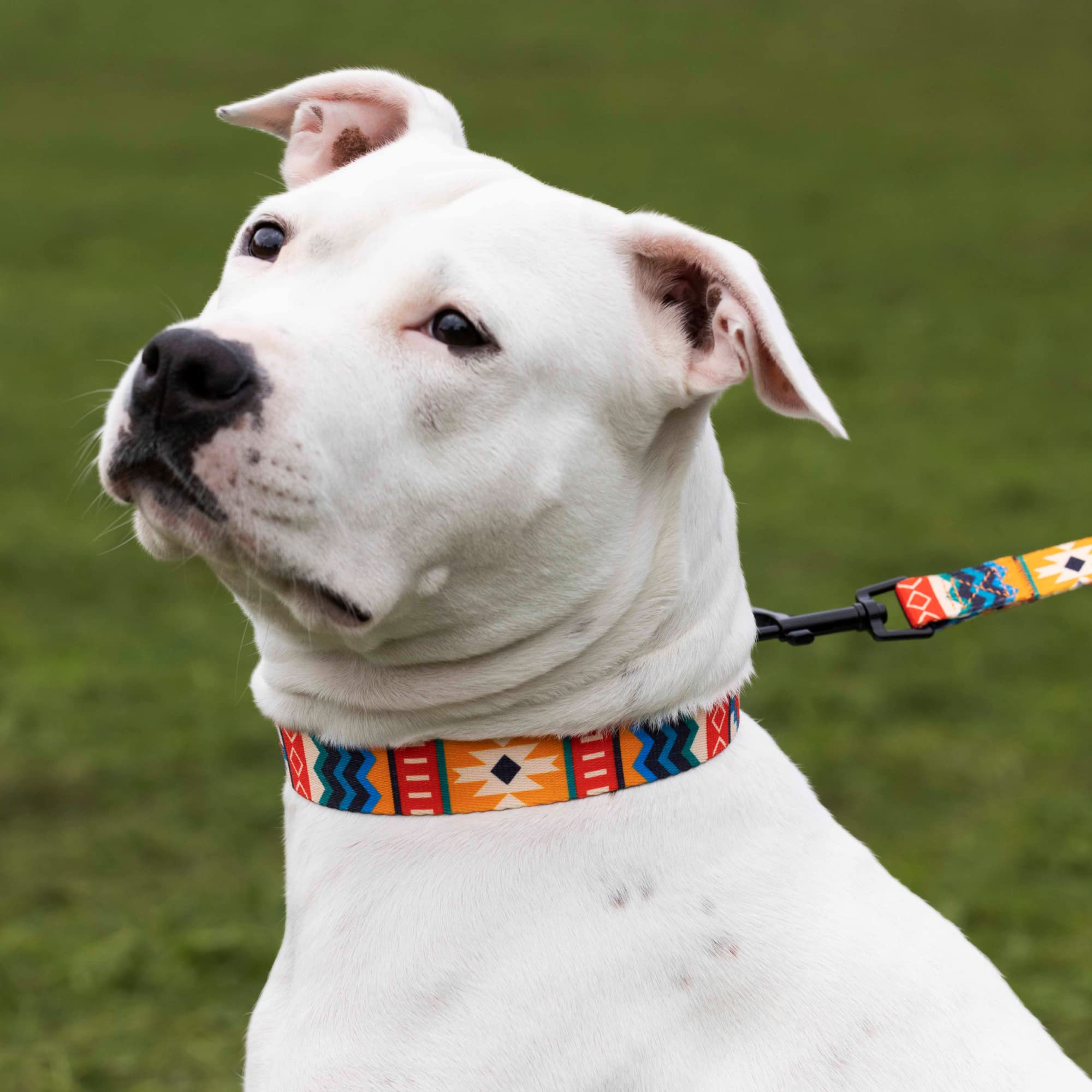 Collardirect Martingale Dog Collar Nylon Safety Training Tribal Pattern Adjustable Heavy Duty Collars For Dogs Medium Large (Pattern 2, Large, Neck Size 15'-20')