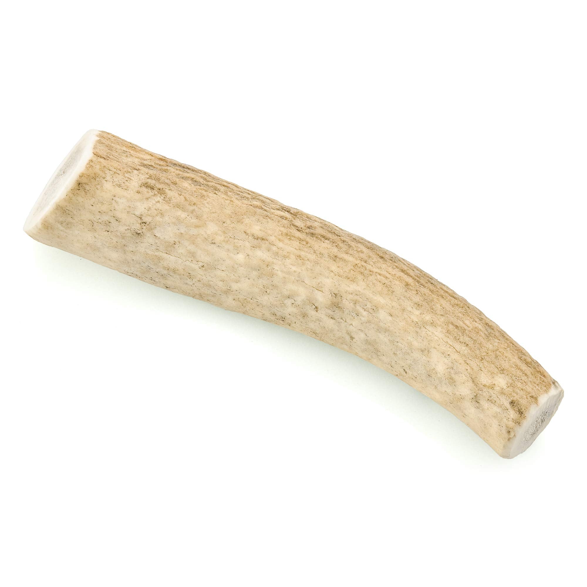 Barkworthies Medium Whole Elk Antler - 1 Count (Pack Of 1) - Naturally Shed, Long-Lasting, Odor-Free, No Chemical Treatments