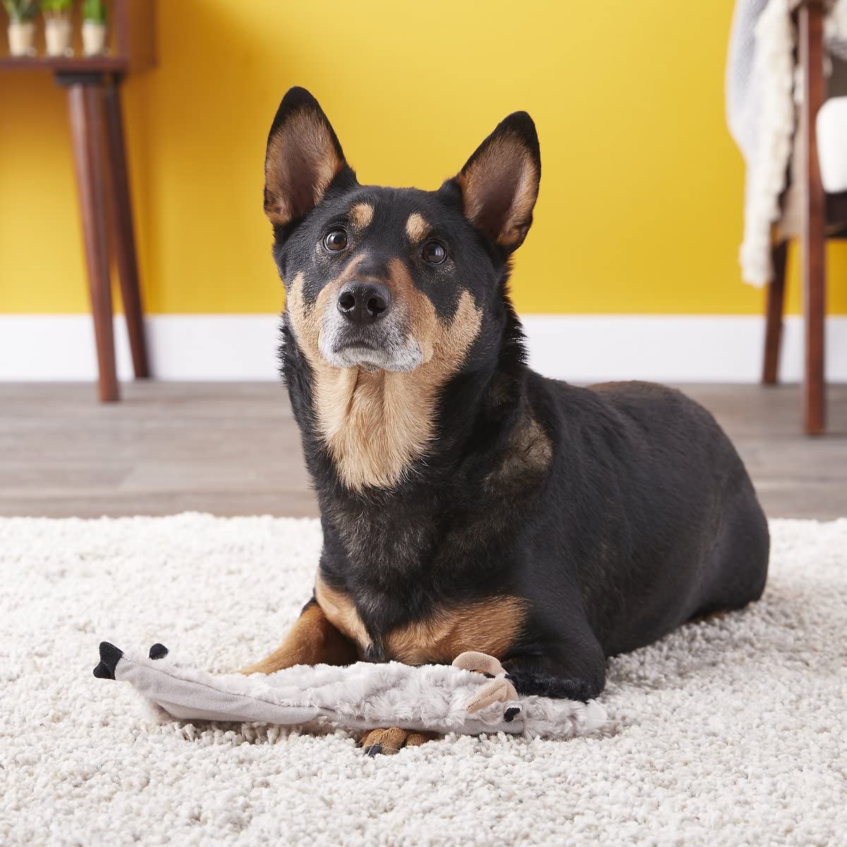 Spot Skinneeez Crinklers | Stuffless Dog Toys With Squeaker For Small Dogs | Crinkle Toy For Small Puppies | 14'' | Goat Design