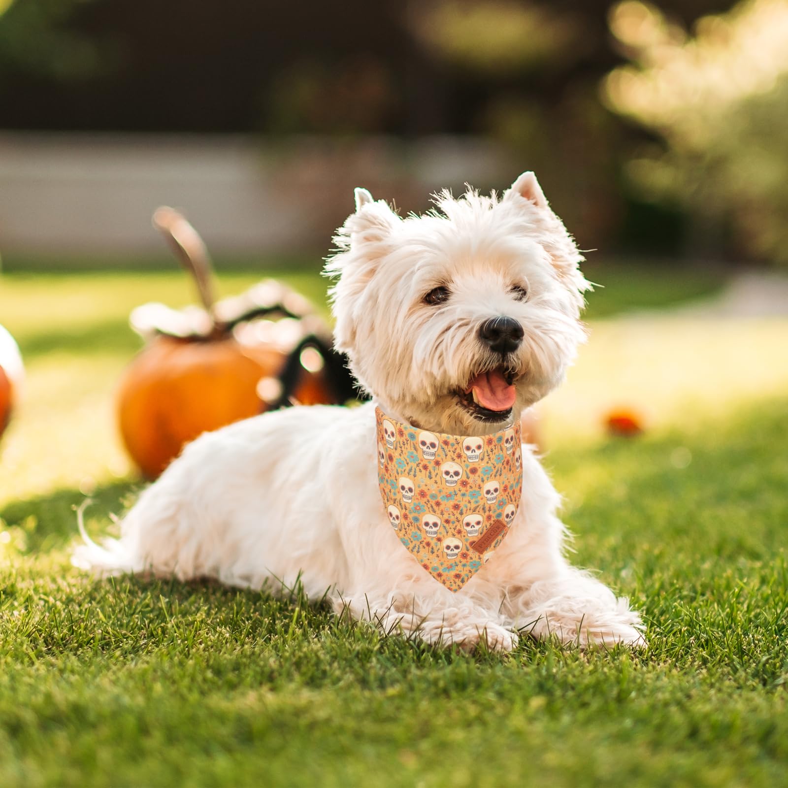 Ptdecor Halloween Dog Bandana, Skeleton Pumpkin Reversible Holiday Dog Scarf, Triangle Halloween Bandanas For Small Dogs Puppies