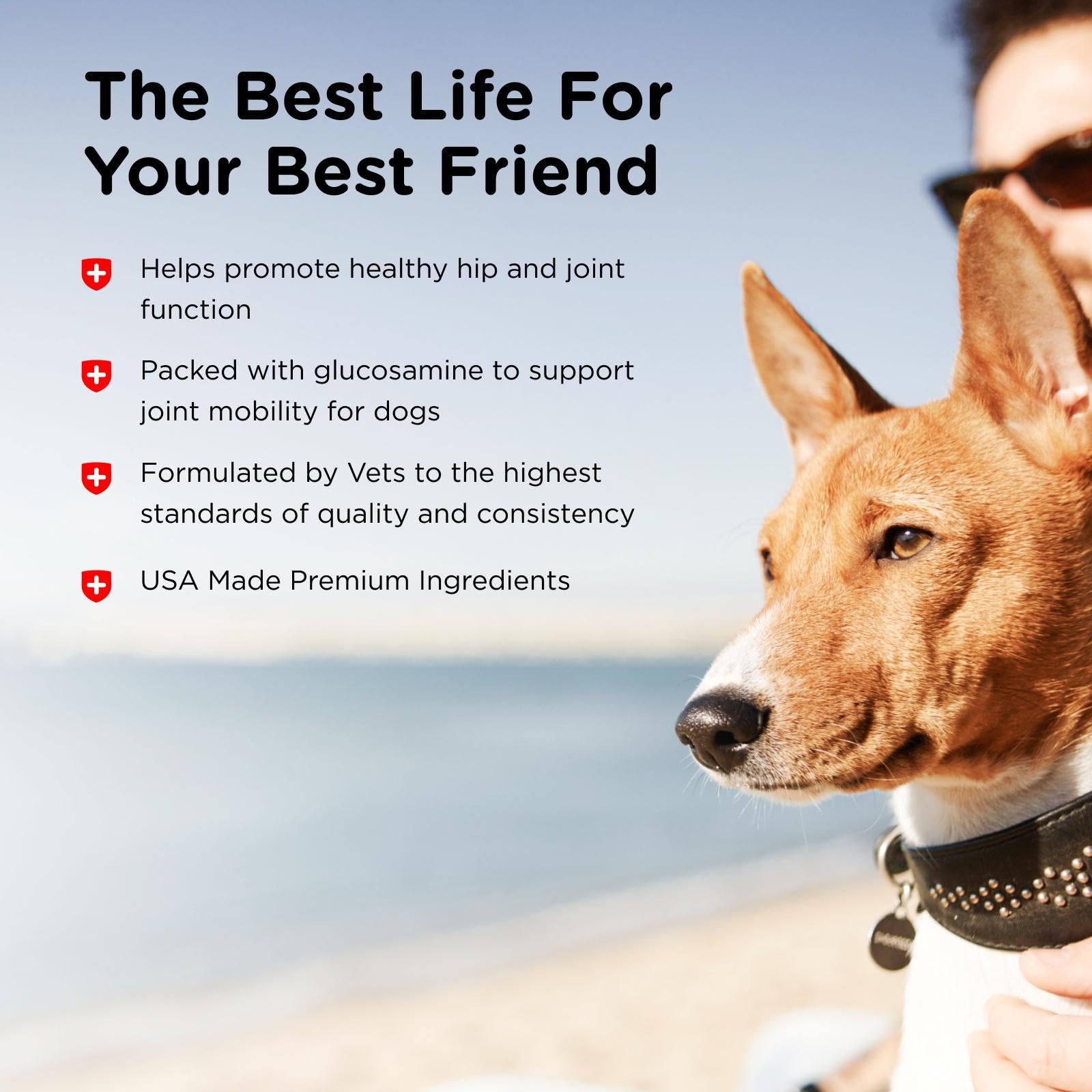 Nutri-Vet Hip & Joint Chewable Dog Supplements - Formulated with Glucosamine & Chondroitin for Dogs - 120 Count