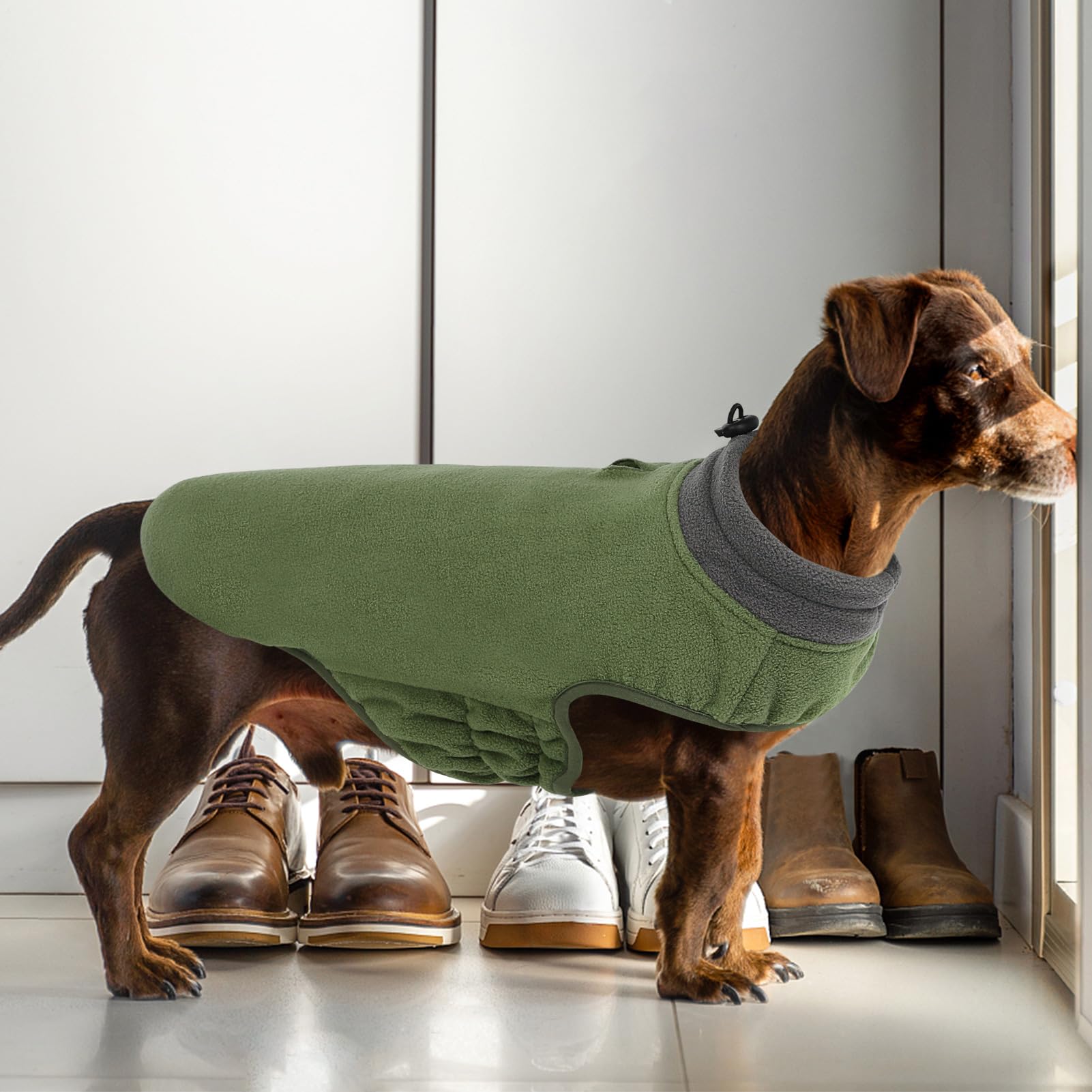Queenmore Dog Sweater, Soft Fleece Pullover Jacket, Large, Green, Warm Winter Coat for Small Dogs and Cats