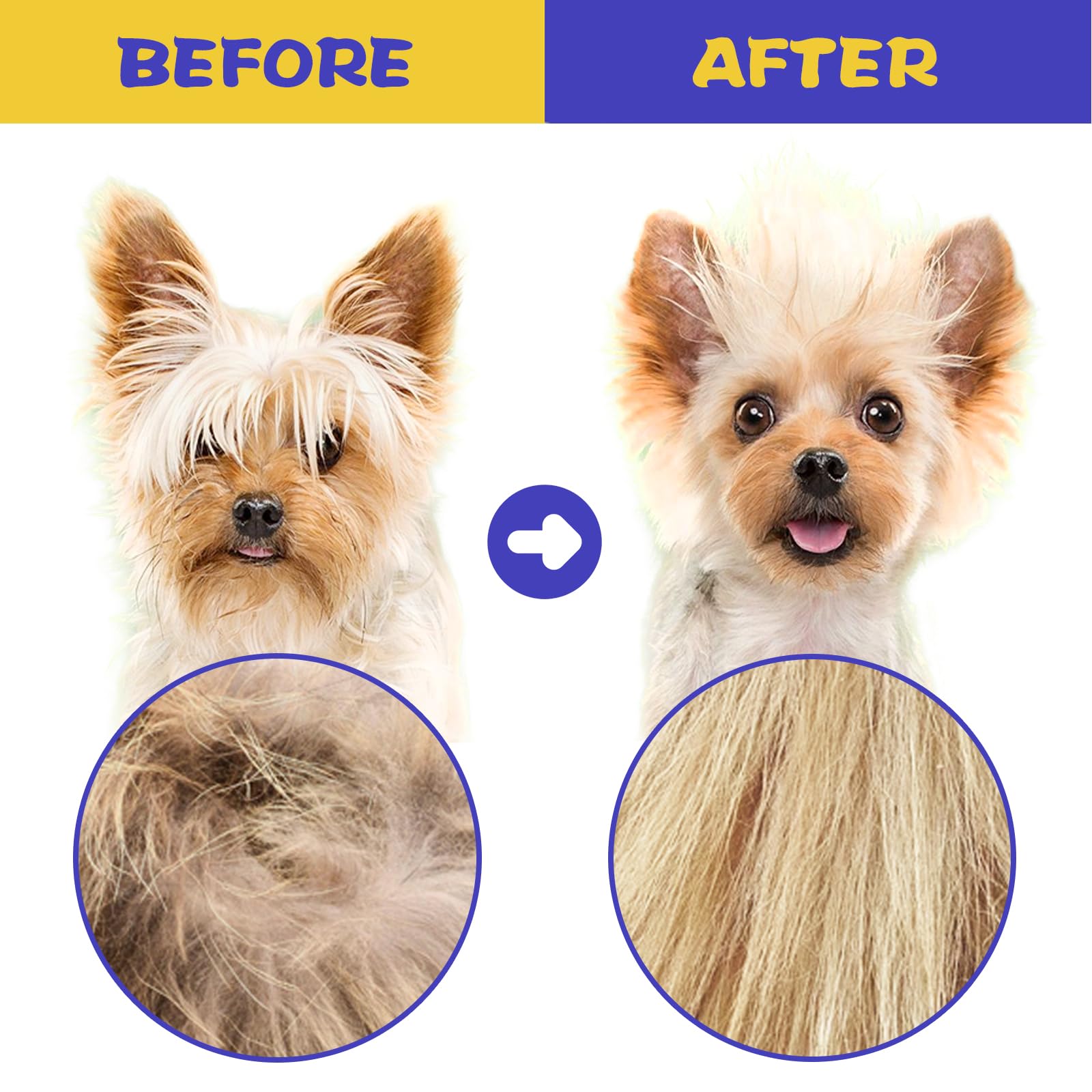 Caphont Flea Comb For Cats With Handle, 4 Pcs Flea Brush Tear Stain Comb Grooming Face And Matted Hair Paws Pet Lice Comb For Sm