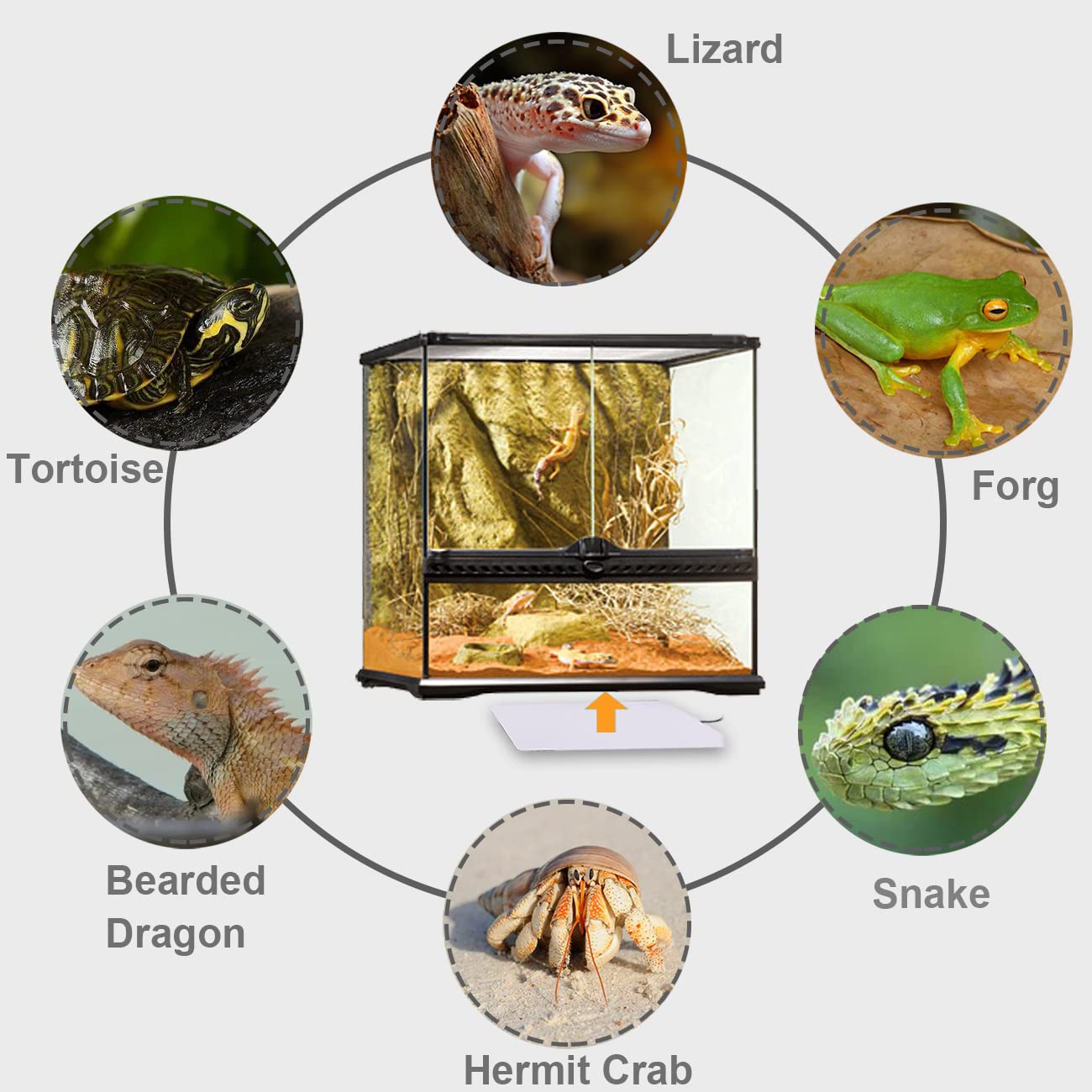 Aiicioo Reptile Heating Pad - Hermit Crab Heater Heat Mat For Reptiles Snake Lizard Terrarium 8 Watt