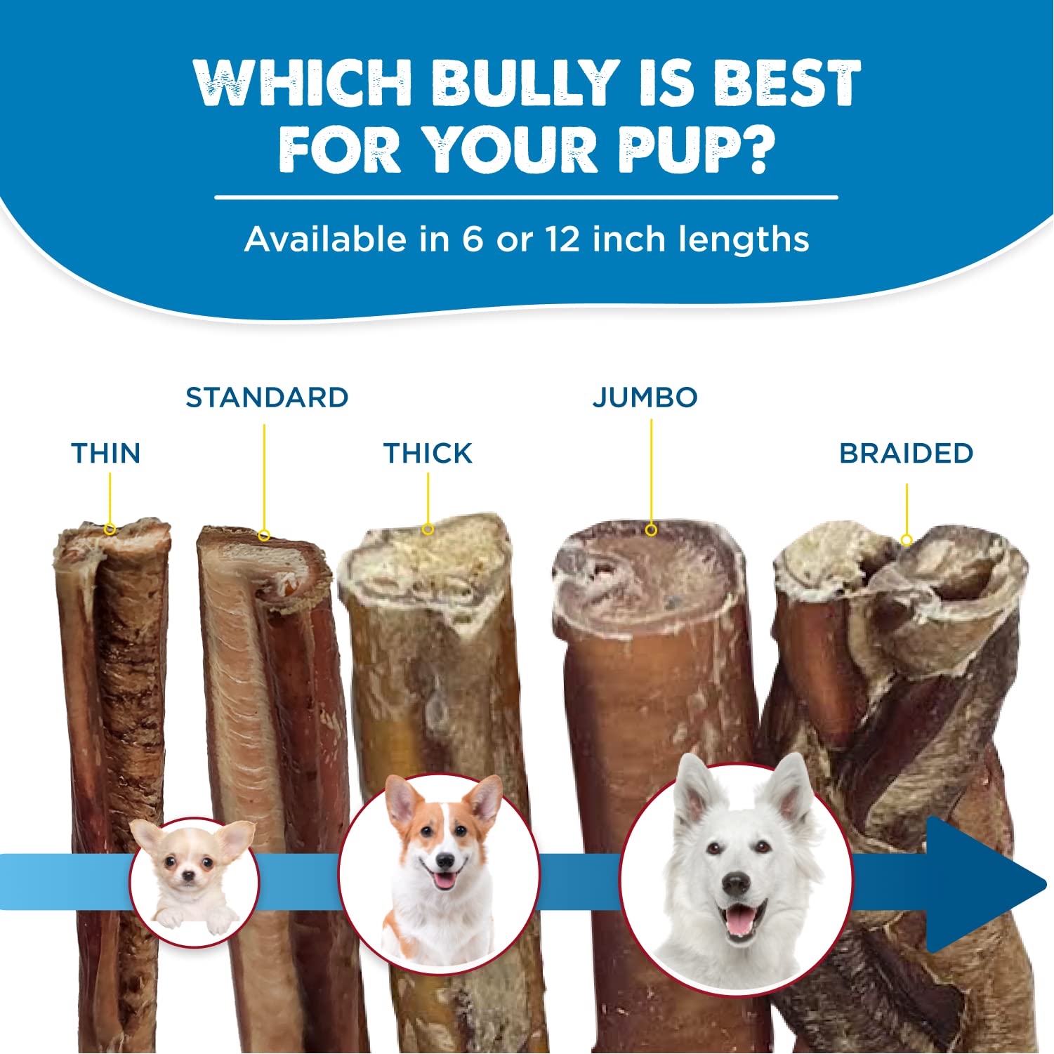 Best Bully Sticks 12 Inch Bully Sticks for Dogs - 50 Count (Pack of 1) - Natural, Easily Digestible, 100% Grass-Fed Beef, Grain