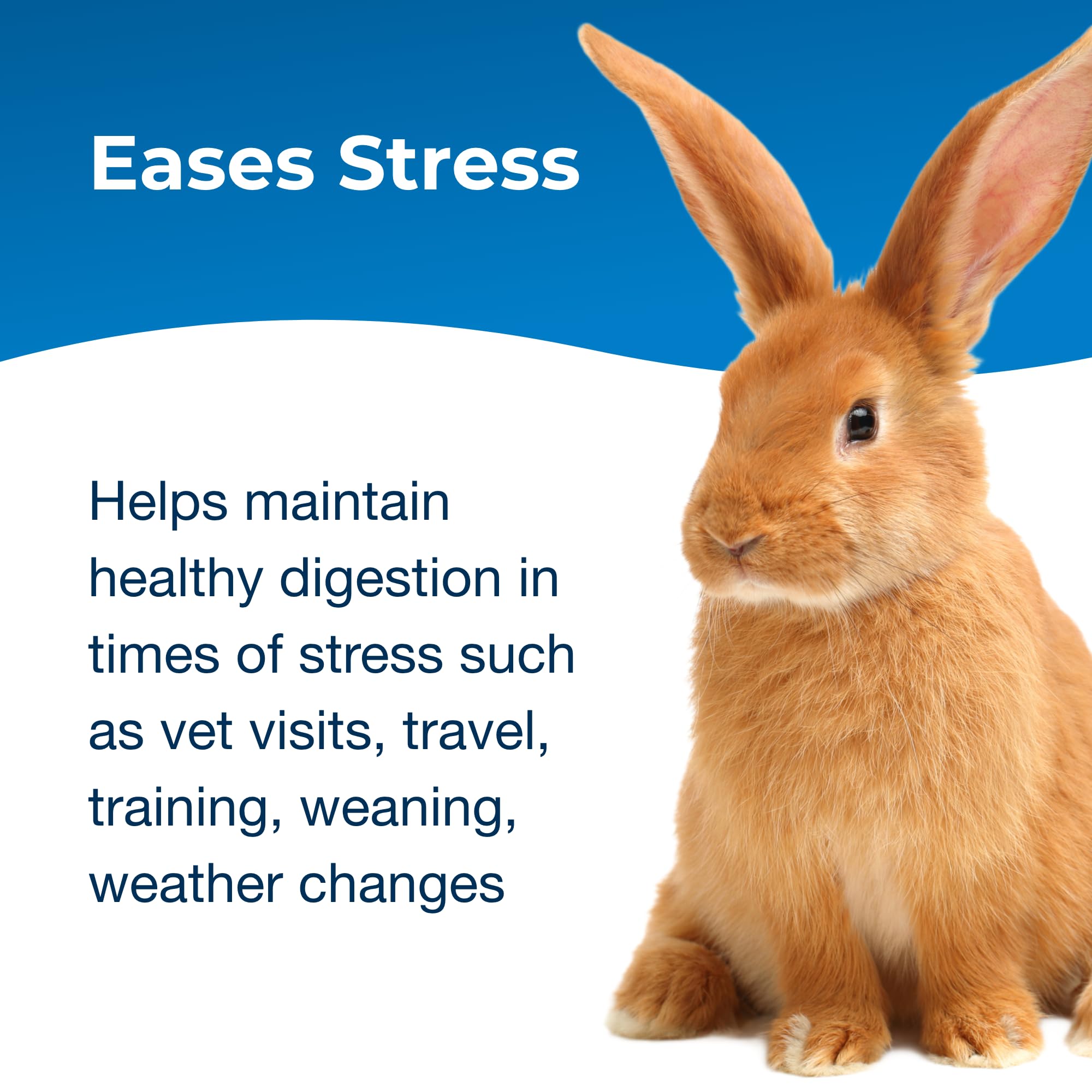 Pet-Ag Bene-Bac Plus - 4.5 oz Powder - FOS & Probiotics for Dogs, Cats, Exotic & Wildlife Mammals