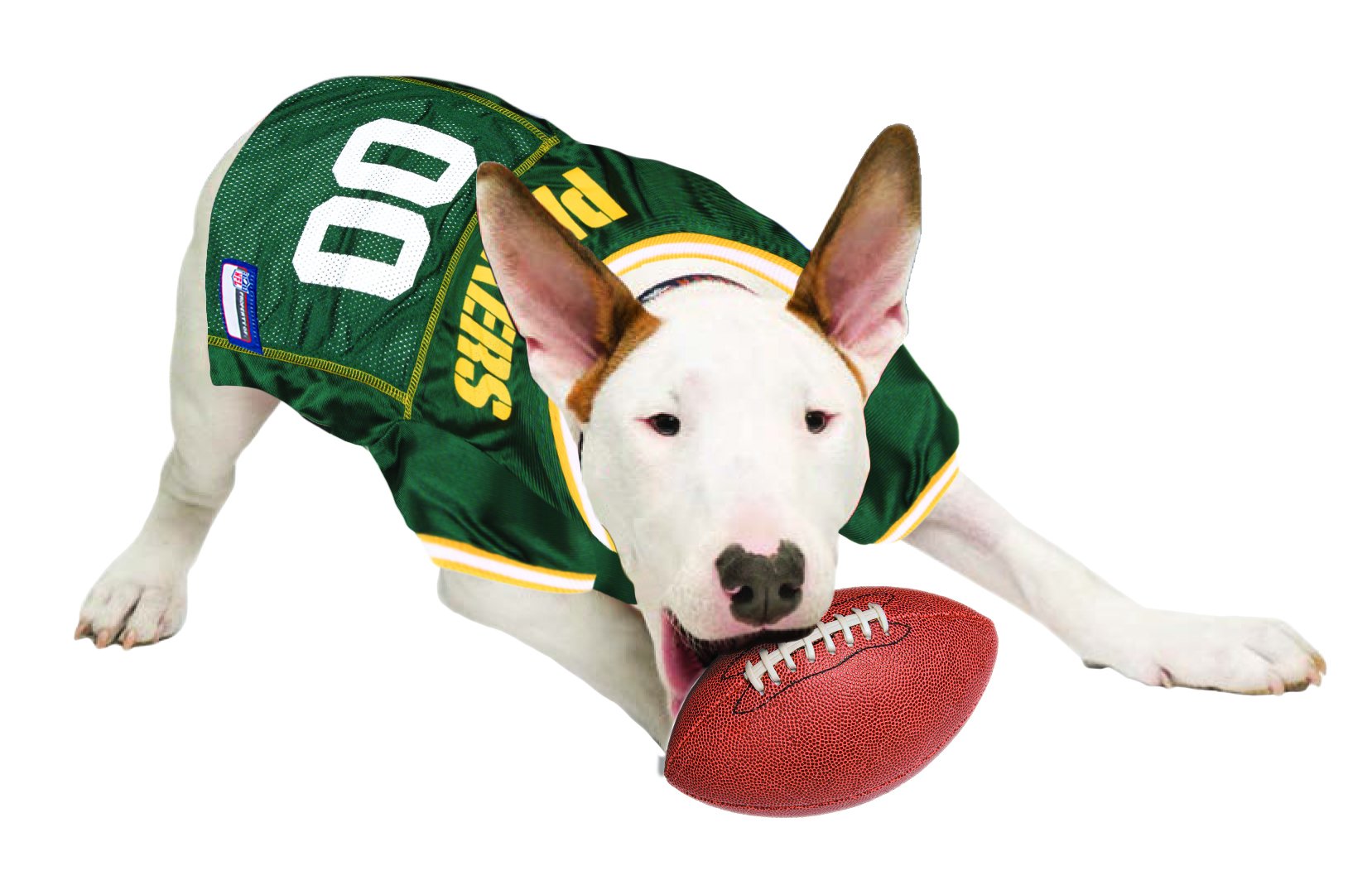 NFL Green Bay Packers Dog Jersey, Size: X-Large. Best Football Jersey Costume for Dogs & Cats. Licensed Jersey Shirt