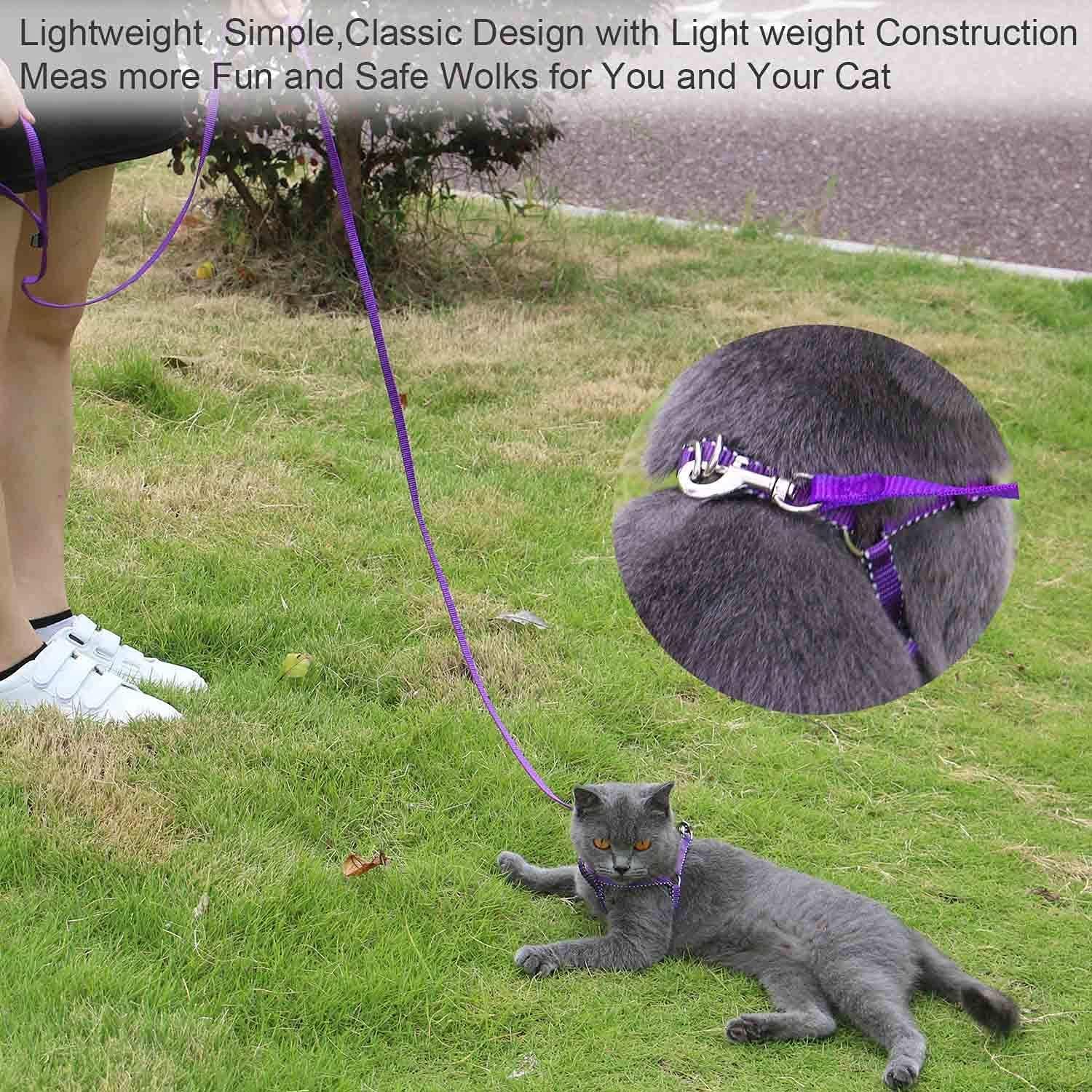 Amagood 6 Ft Puppy/Leash, Strong Traditional Style With Easy To Use Collar Hook, Great For Small, Medium And Large Dogs (5/8In X