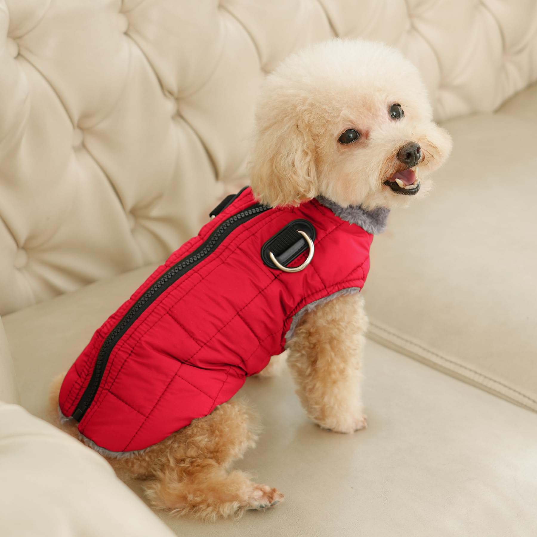 JoyDaog Warm Fleece Dog Coat with Built-in Harness, Waterproof, X-Small, Red, Ideal for Small Dogs in Cold Winter